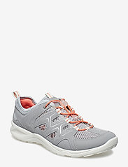 ECCO - TERRACRUISE LT W - hiking shoes - silver grey/silver metallic - 0