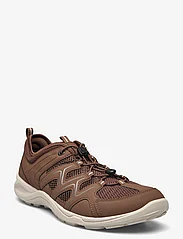 ECCO - TERRACRUISE LT M - hiking shoes - cocoa brown/cocoa brown - 0