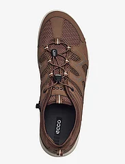 ECCO - TERRACRUISE LT M - hiking shoes - cocoa brown/cocoa brown - 3