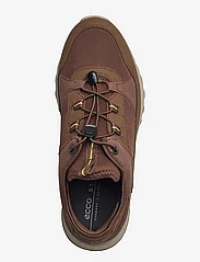 ECCO - EXOSTRIDE M - lave sneakers - cocoa brown/cocoa brown - 3