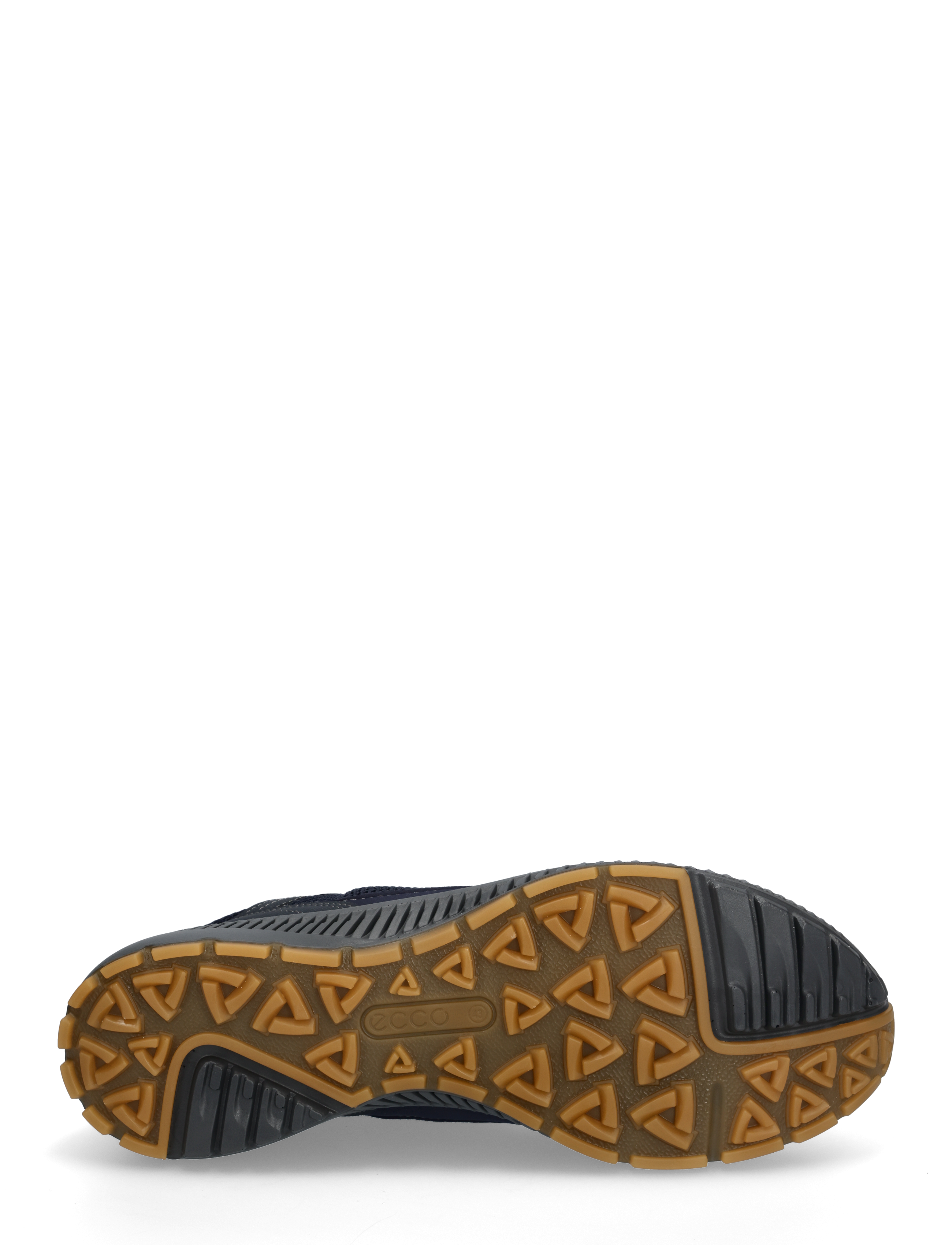 Terracruise Ii 6