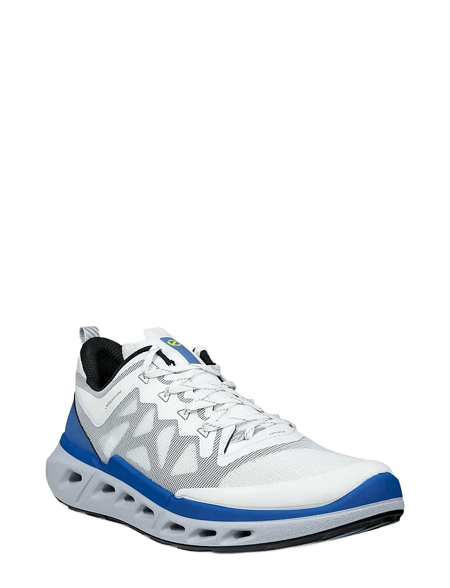 ECCO - BIOM 720 M - niedriger schnitt - white/white/black/federal blue - 0