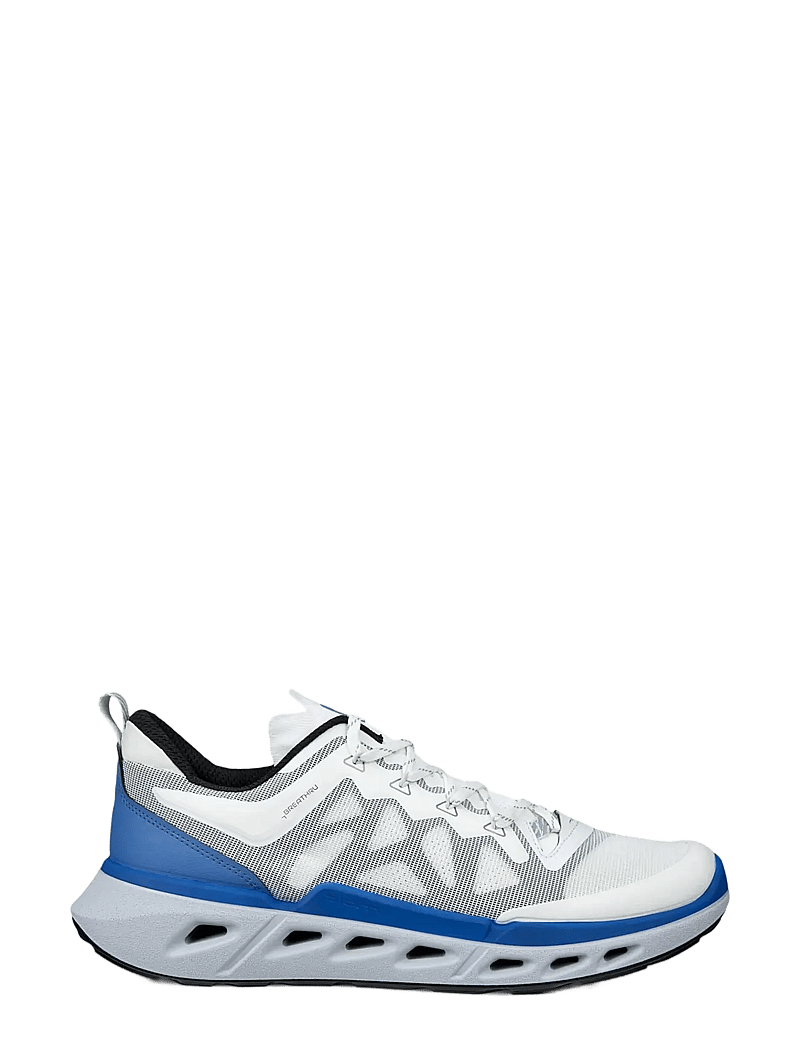 ECCO - BIOM 720 M - niedriger schnitt - white/white/black/federal blue - 1