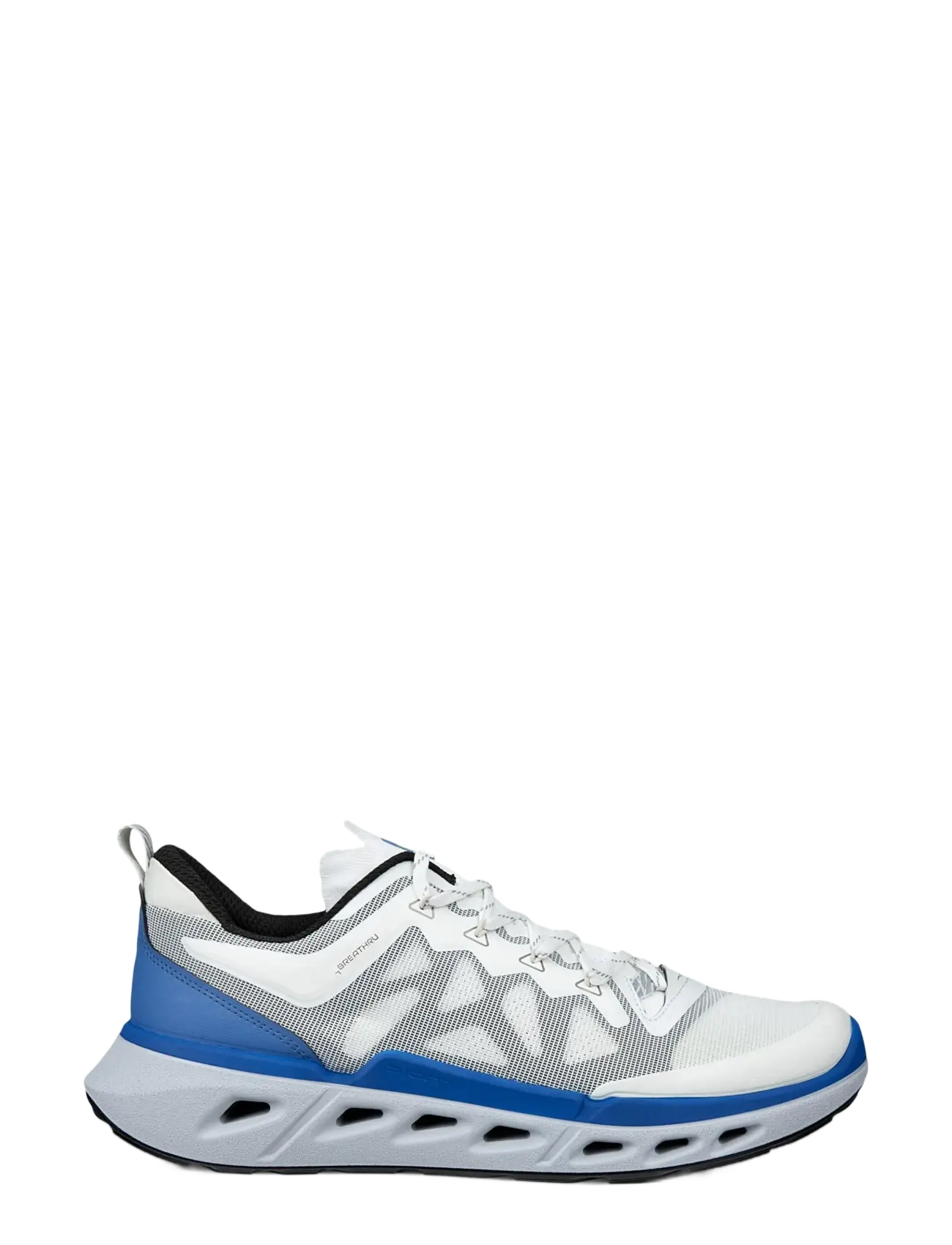 ECCO - BIOM 720 M - low tops - white/white/black/federal blue - 1