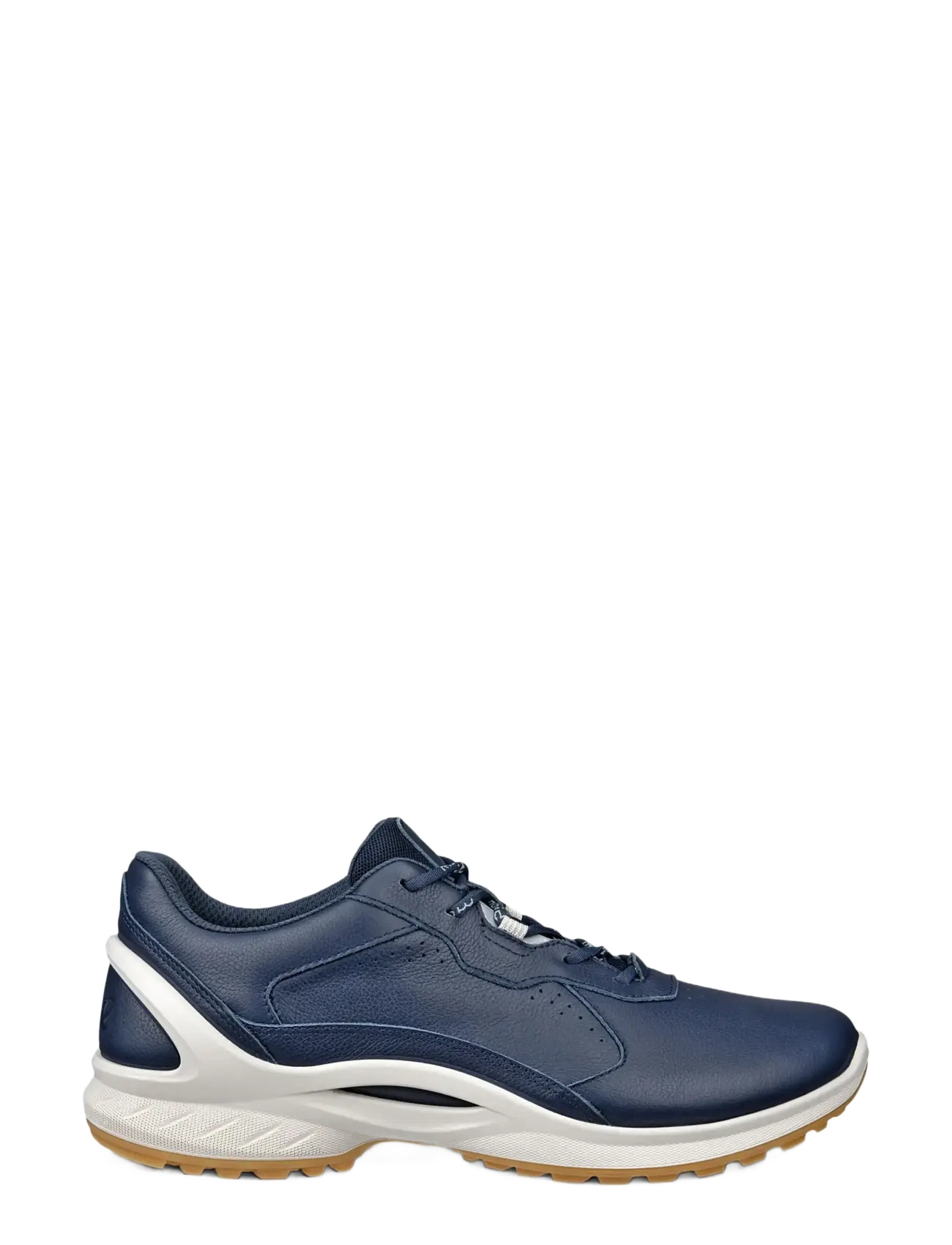 Biom Energi 2