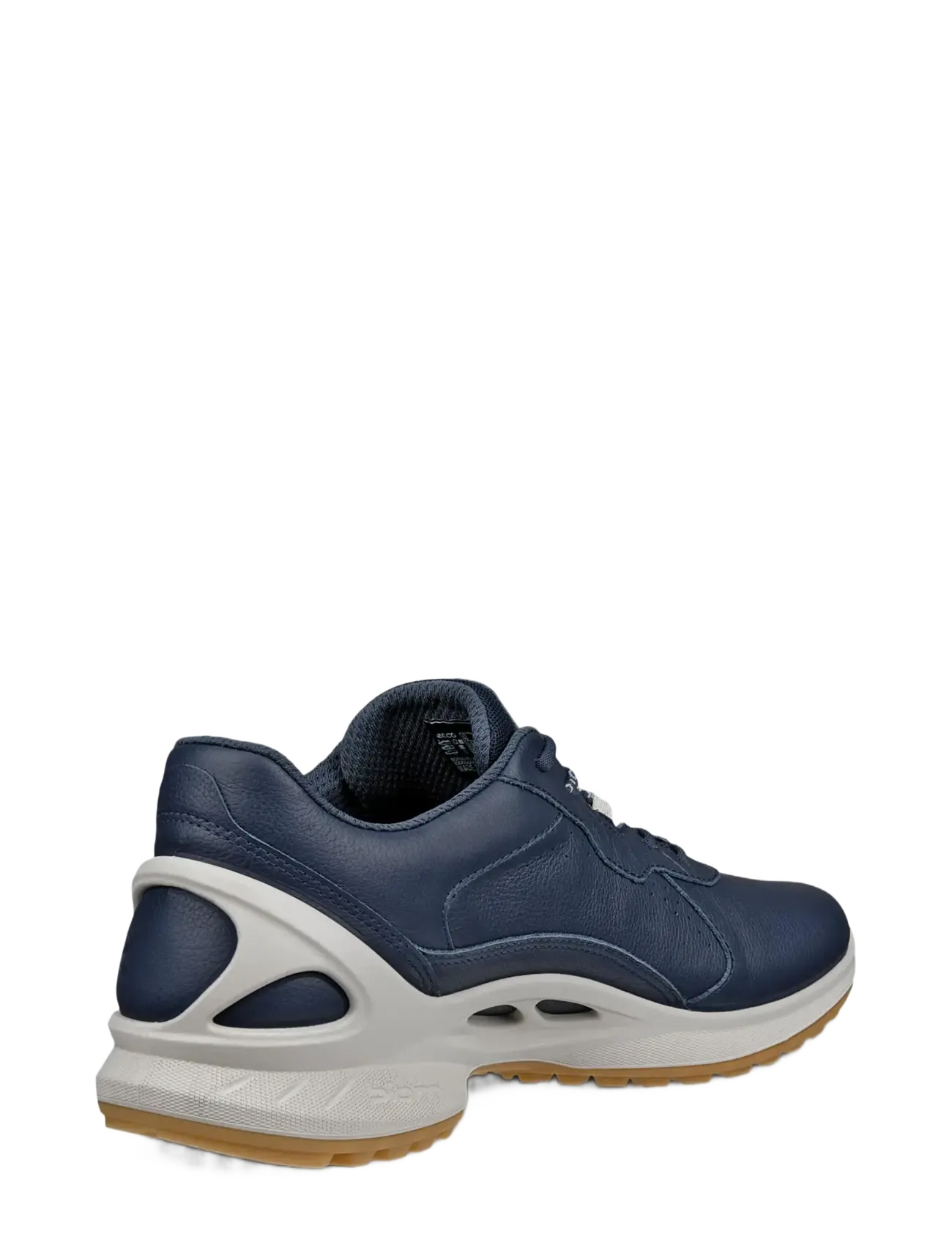 Biom Energi 3