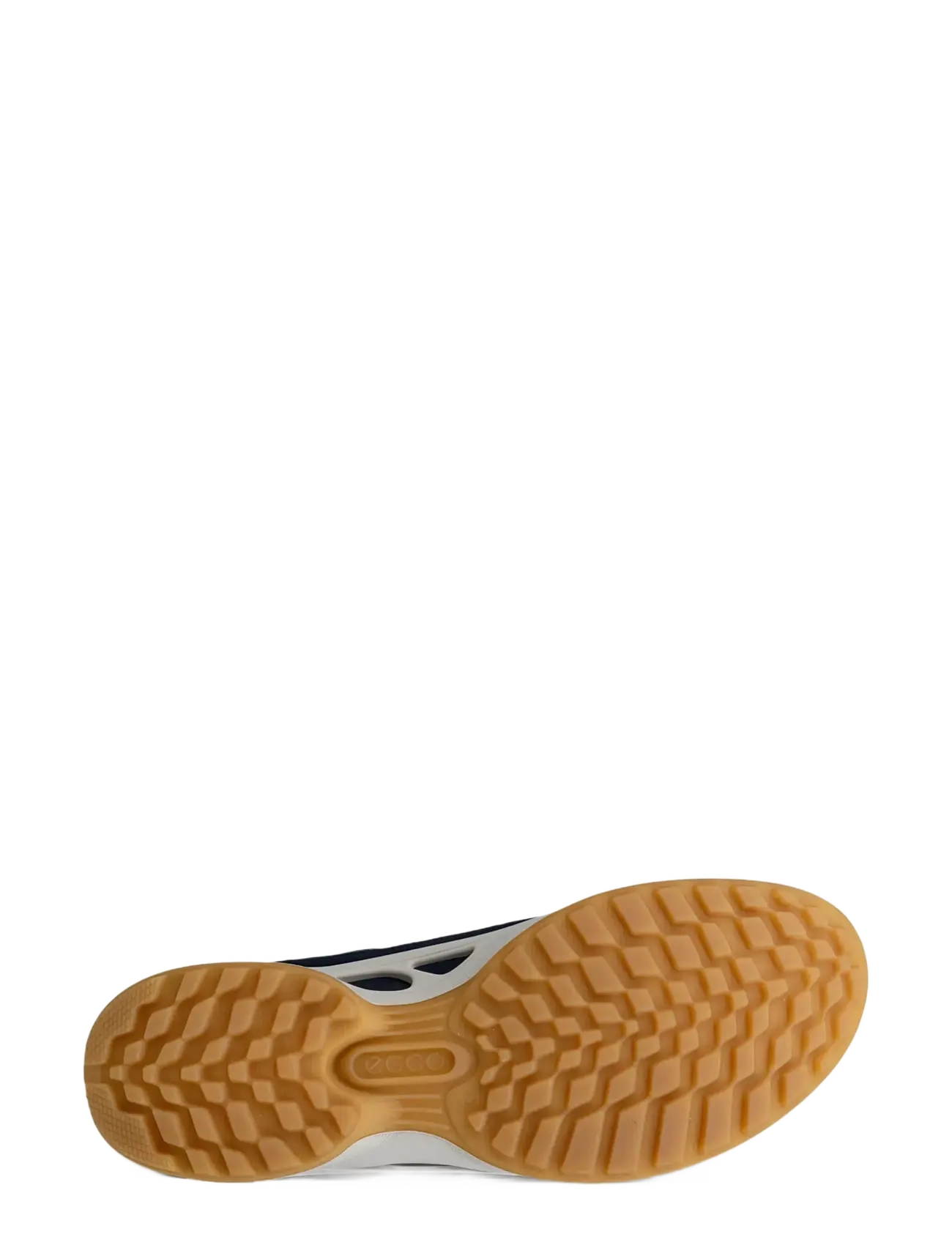 Biom Energi 4