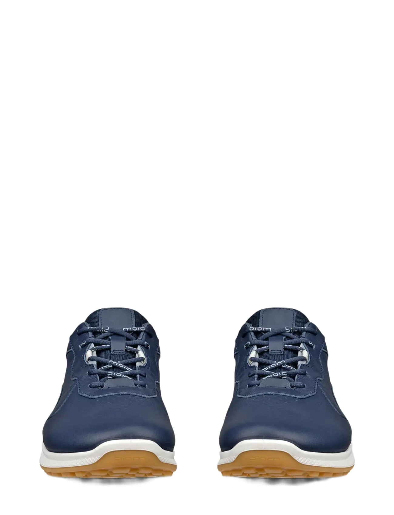 Biom Energi 5