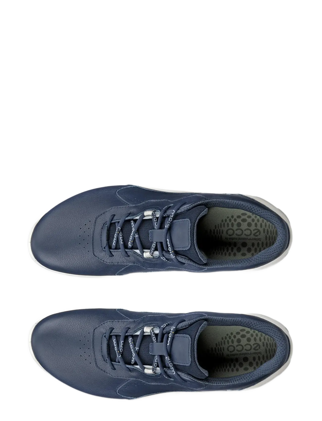 Biom Energi 6