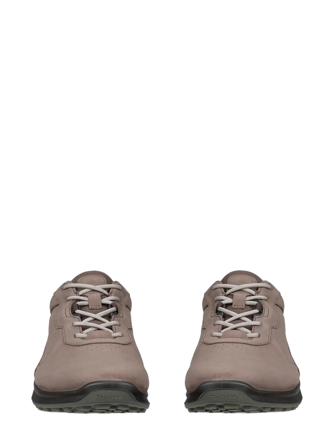Biom Energi 6