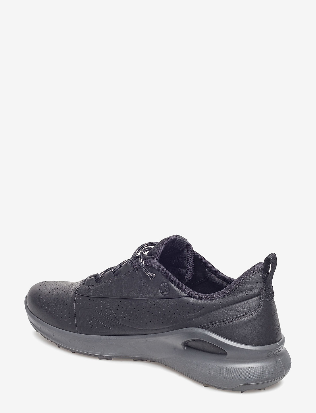 Ecco biom omniquest review deals