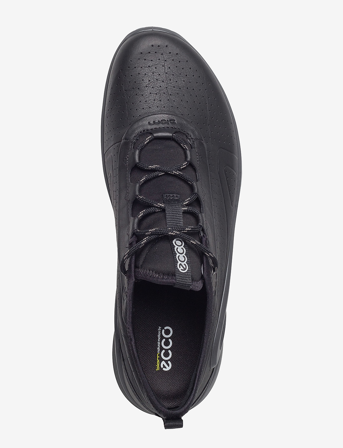 Ecco biom discount omniquest review