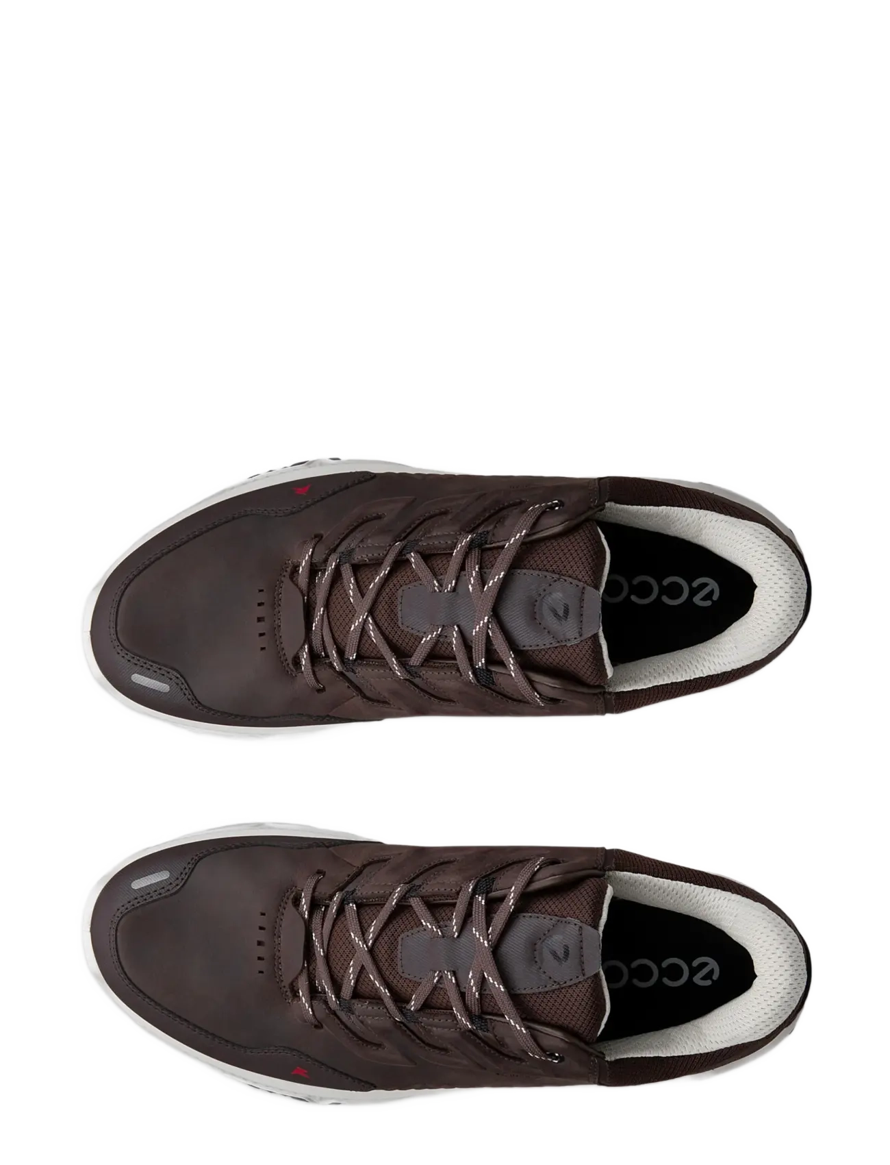 ECCO - RECEPTOR XP M - vandresko - mocha/coffee - 5