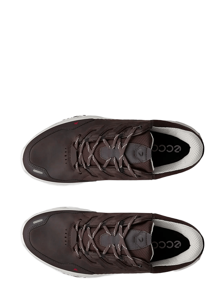 ECCO - RECEPTOR XP M - vandresko - mocha/coffee - 5