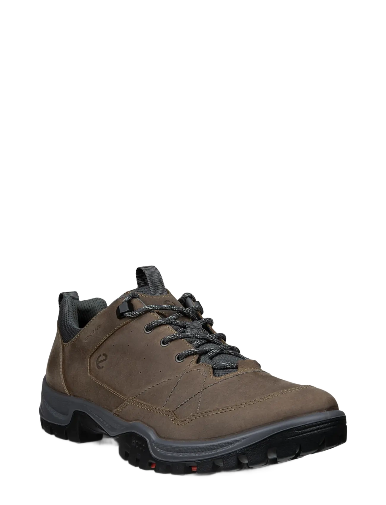 ECCO RECEPTOR TREKK M - Vandresko - NUTMEG BROWN/MAGNET / brown
