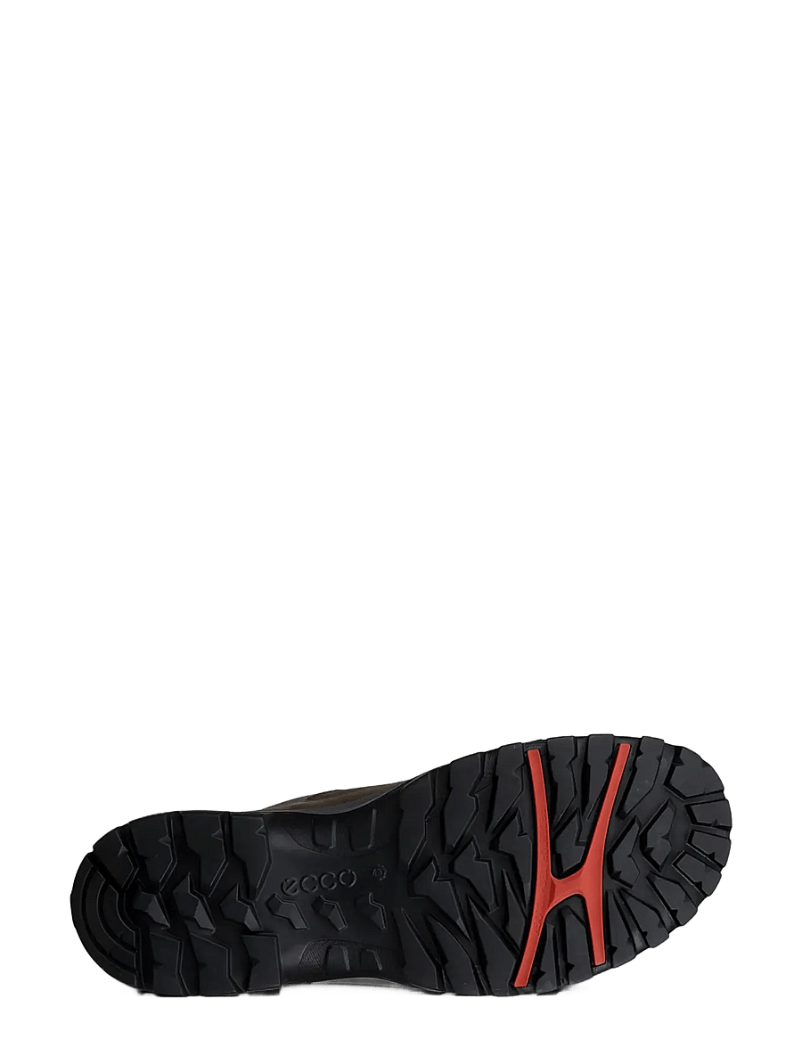 ECCO - RECEPTOR TREKK M - vandringsskor - nutmeg brown/magnet - 4