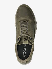 ECCO - MULTI-VENT M - pārgājienu/pastaigu apavi - grape leaf - 3