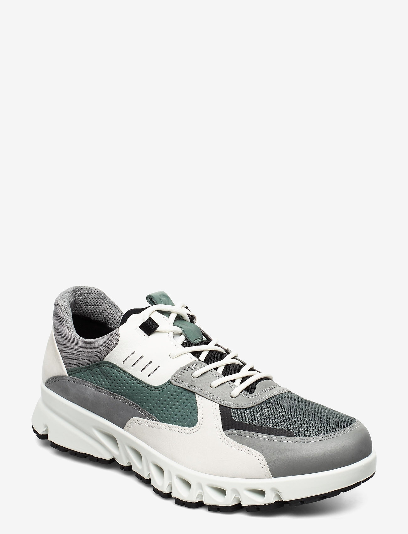 MULTICOLOR WILD DOVE