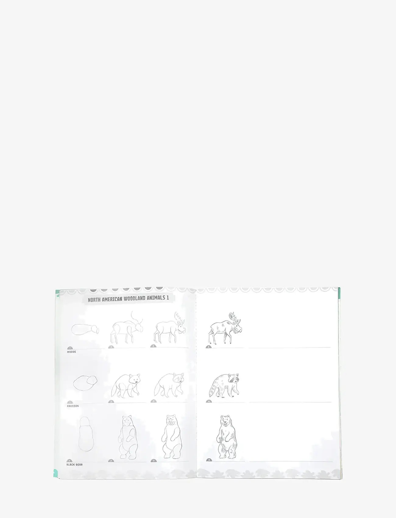 Eeboo - Learn to Draw - Wild Animals - spalvinimo & rankdarbių knygos - multi - 2