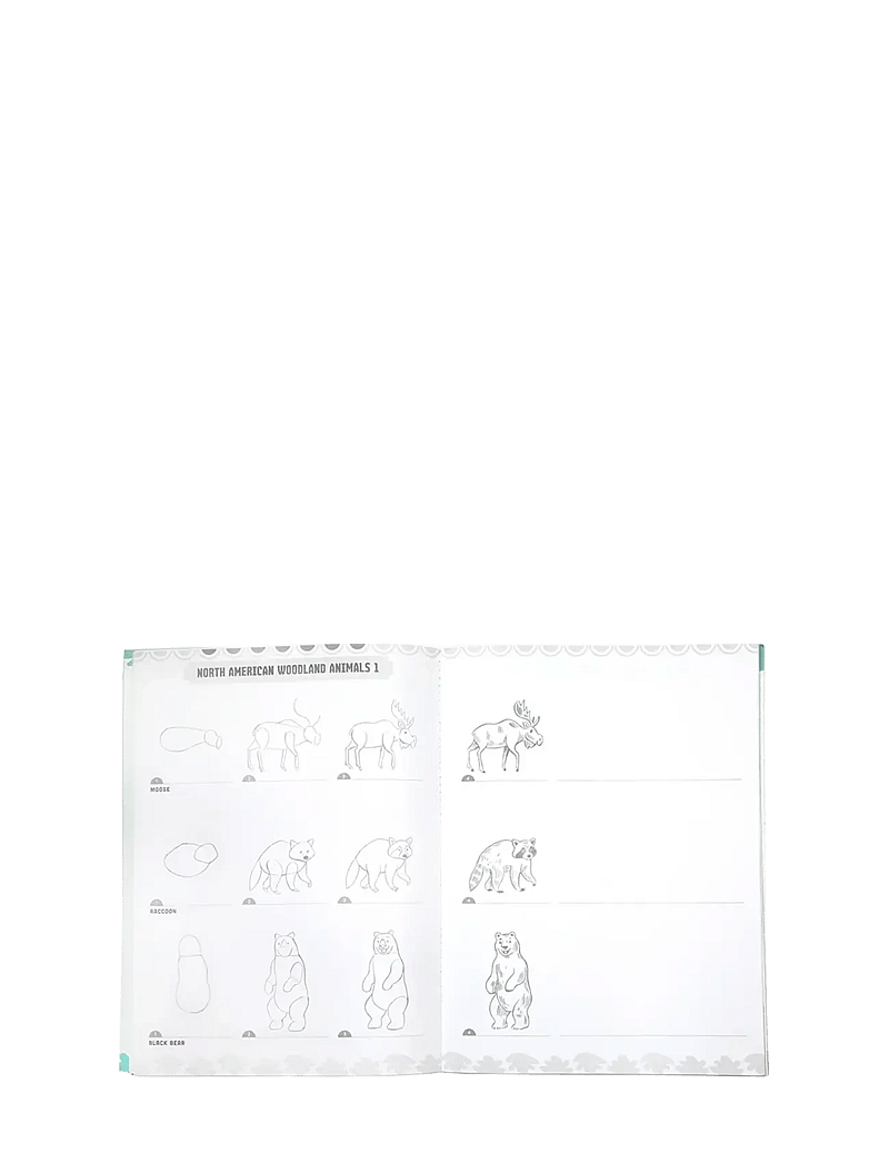 Eeboo - Learn to Draw - Wild Animals - värvimis- & käsitööraamatud - multi - 2