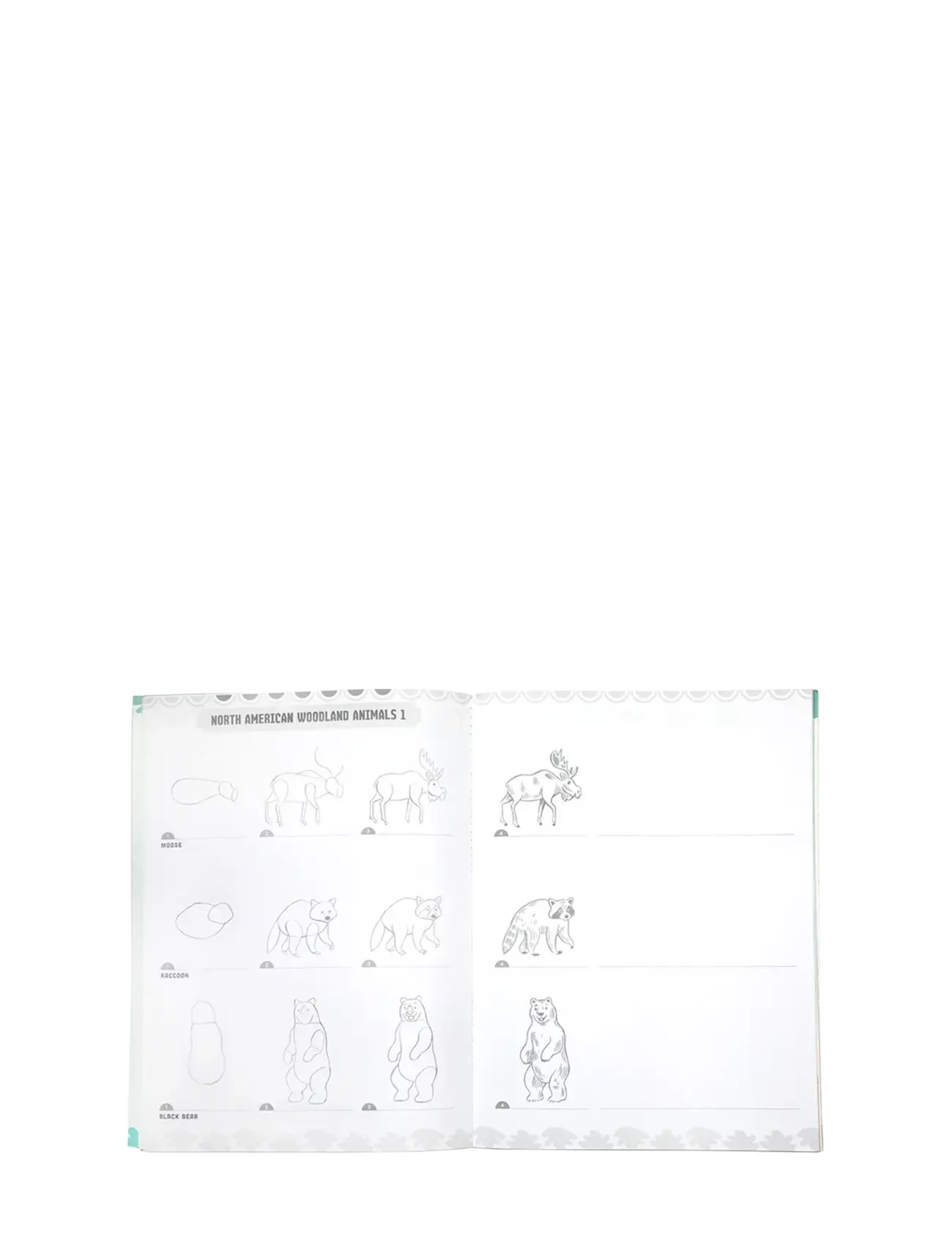Eeboo - Learn to Draw - Wild Animals - mal- & bastelbücher - multi - 2