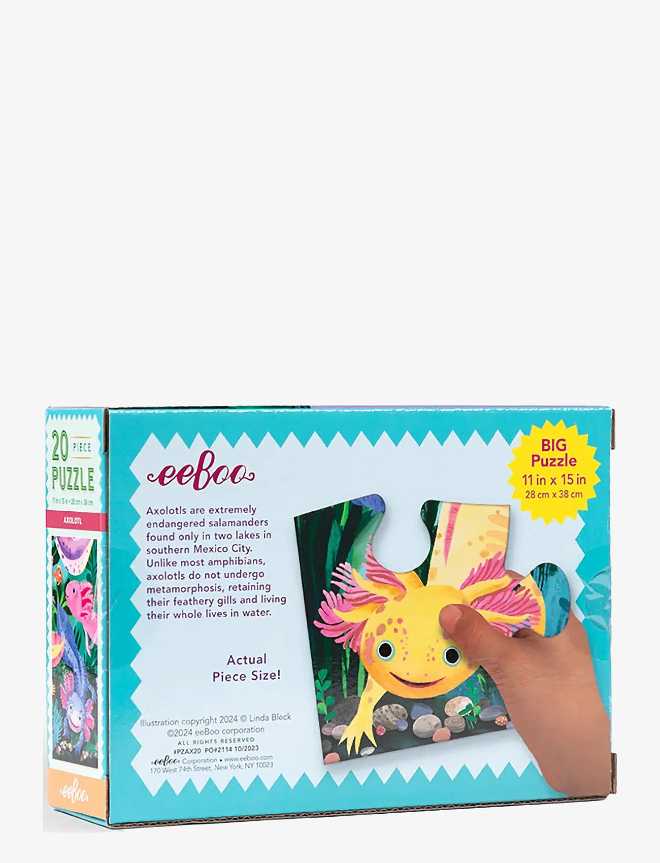 Eeboo - Puzzle 20 pcs - Axolotl - klassikalised pusled - multi - 2