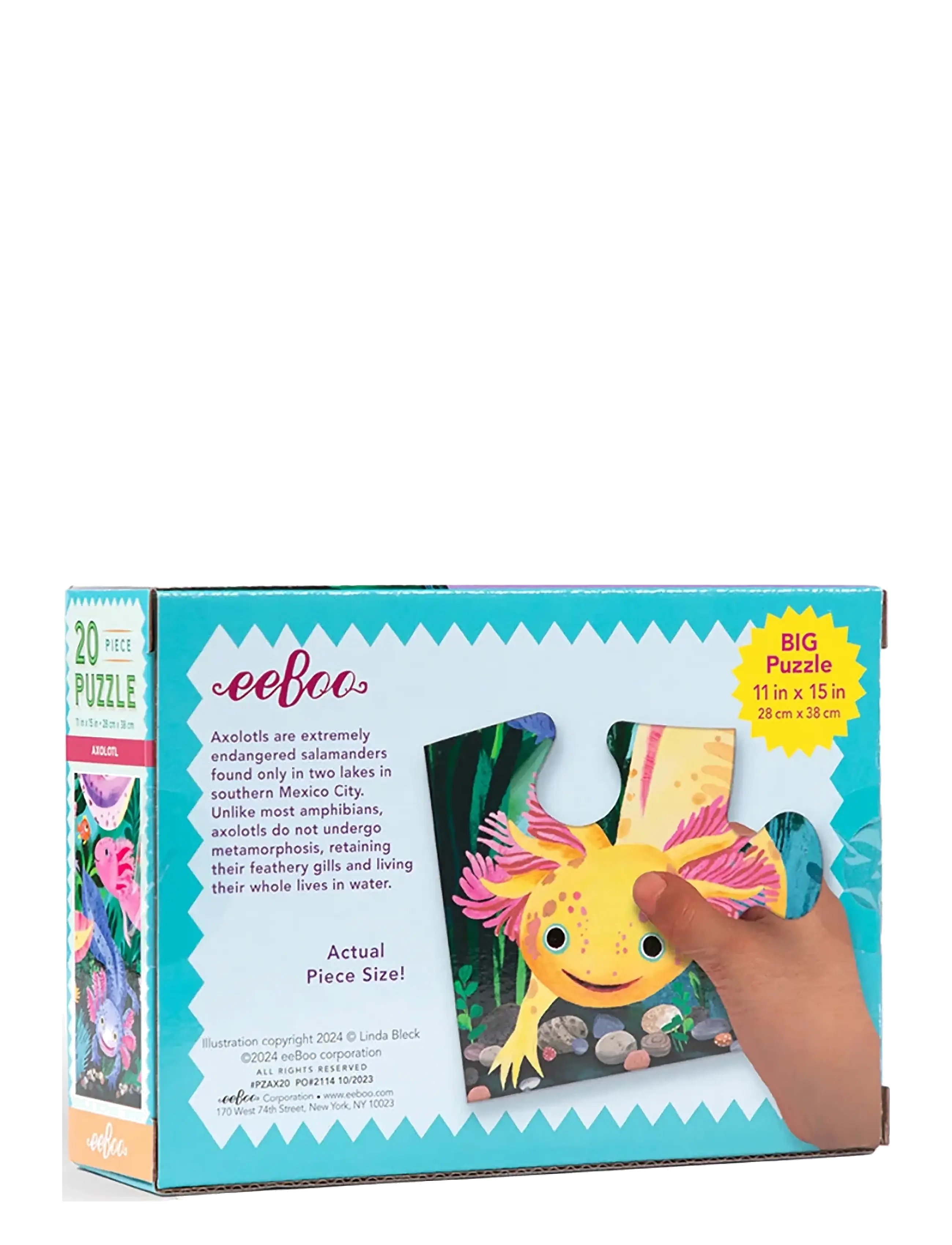 Eeboo - Puzzle 20 pcs - Axolotl - klassikalised pusled - multi - 2