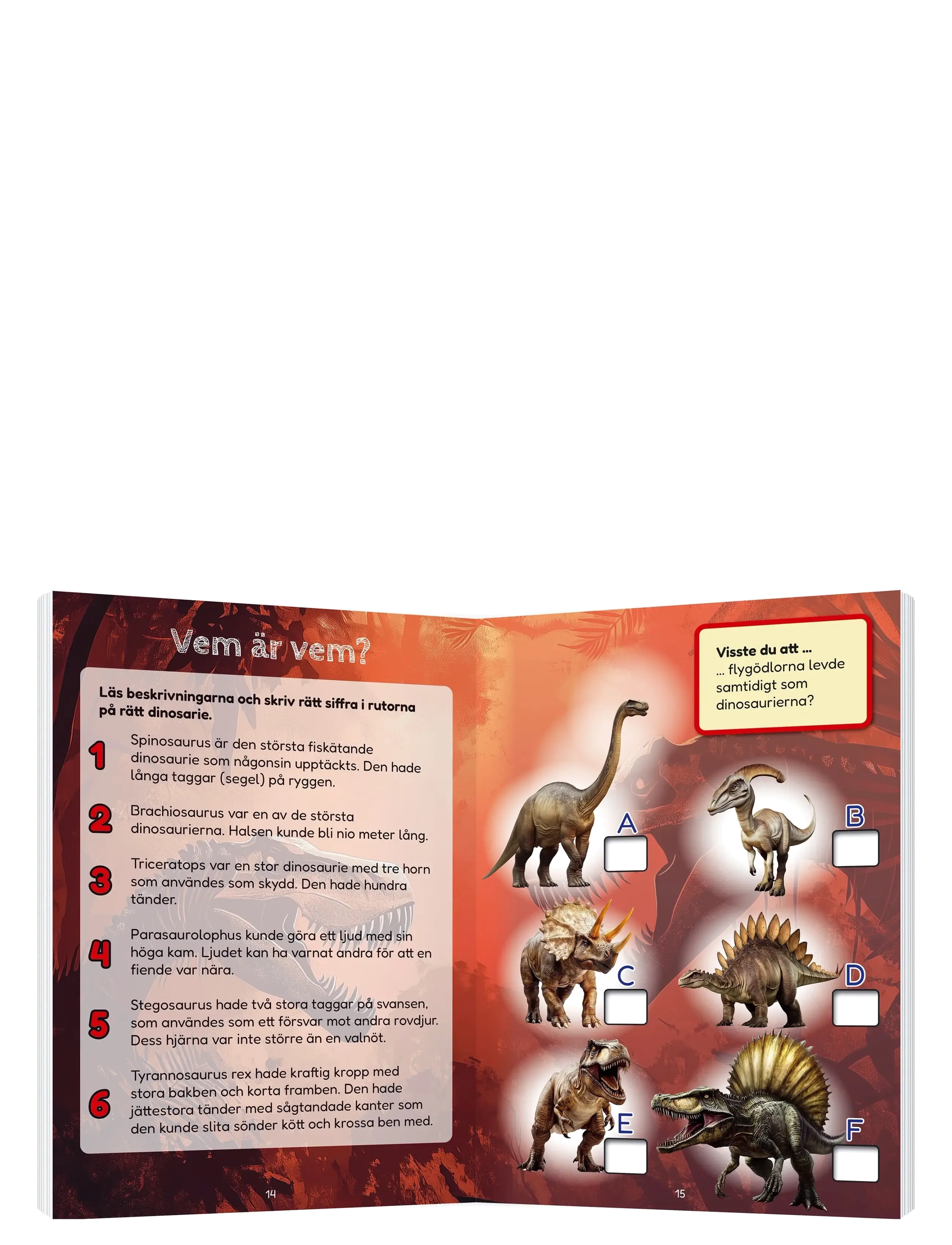 Kärnan - PYSSELBOK DINOSAURIER - målar- & pysselböcker - multi - 2