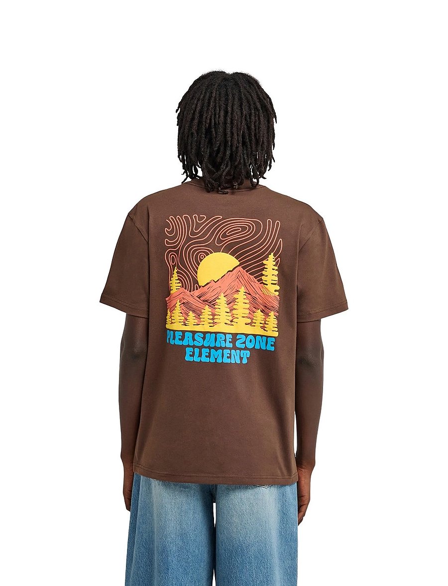 Element - PLEASURE SS - t-shirts - java - 3