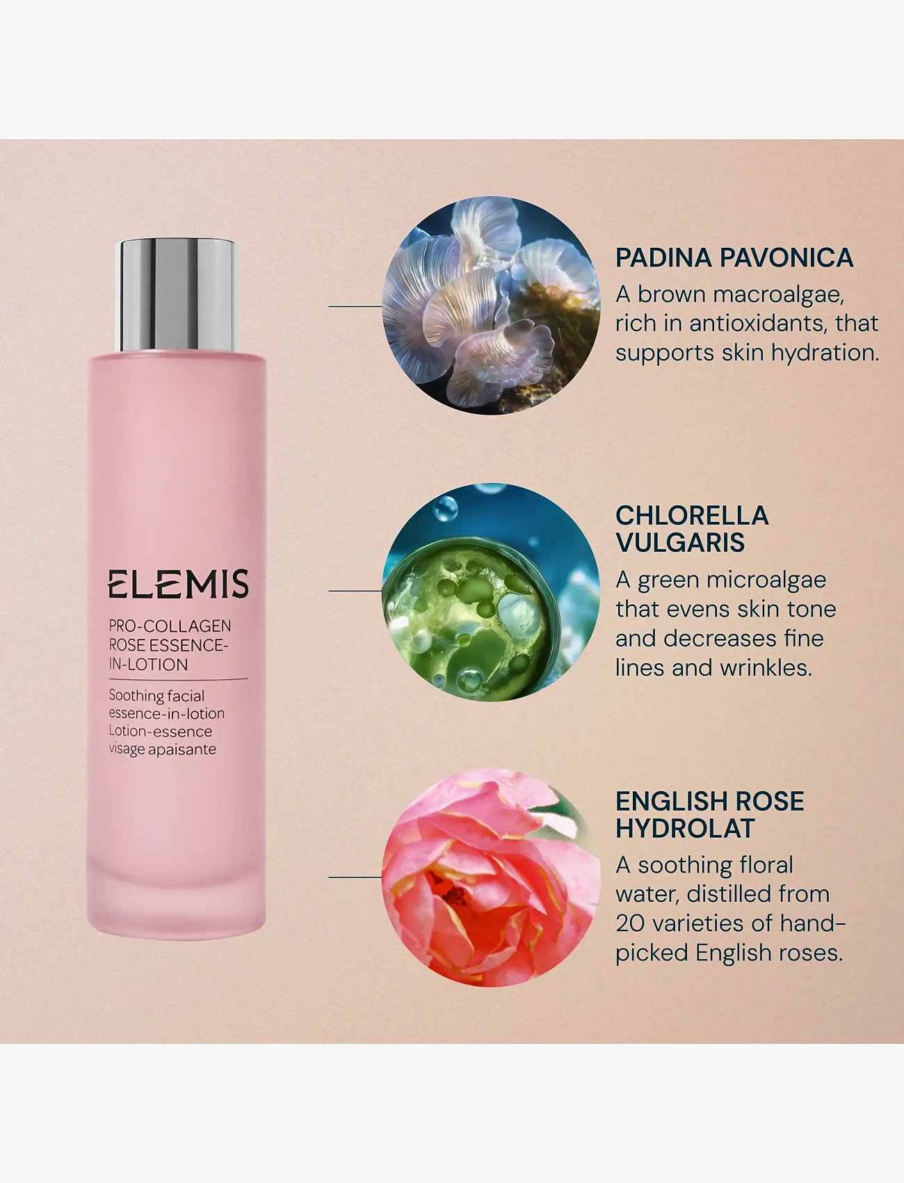 Elemis - Pro-Collagen Rose Essence-In-Lotion 100ml - essence - no color - 4