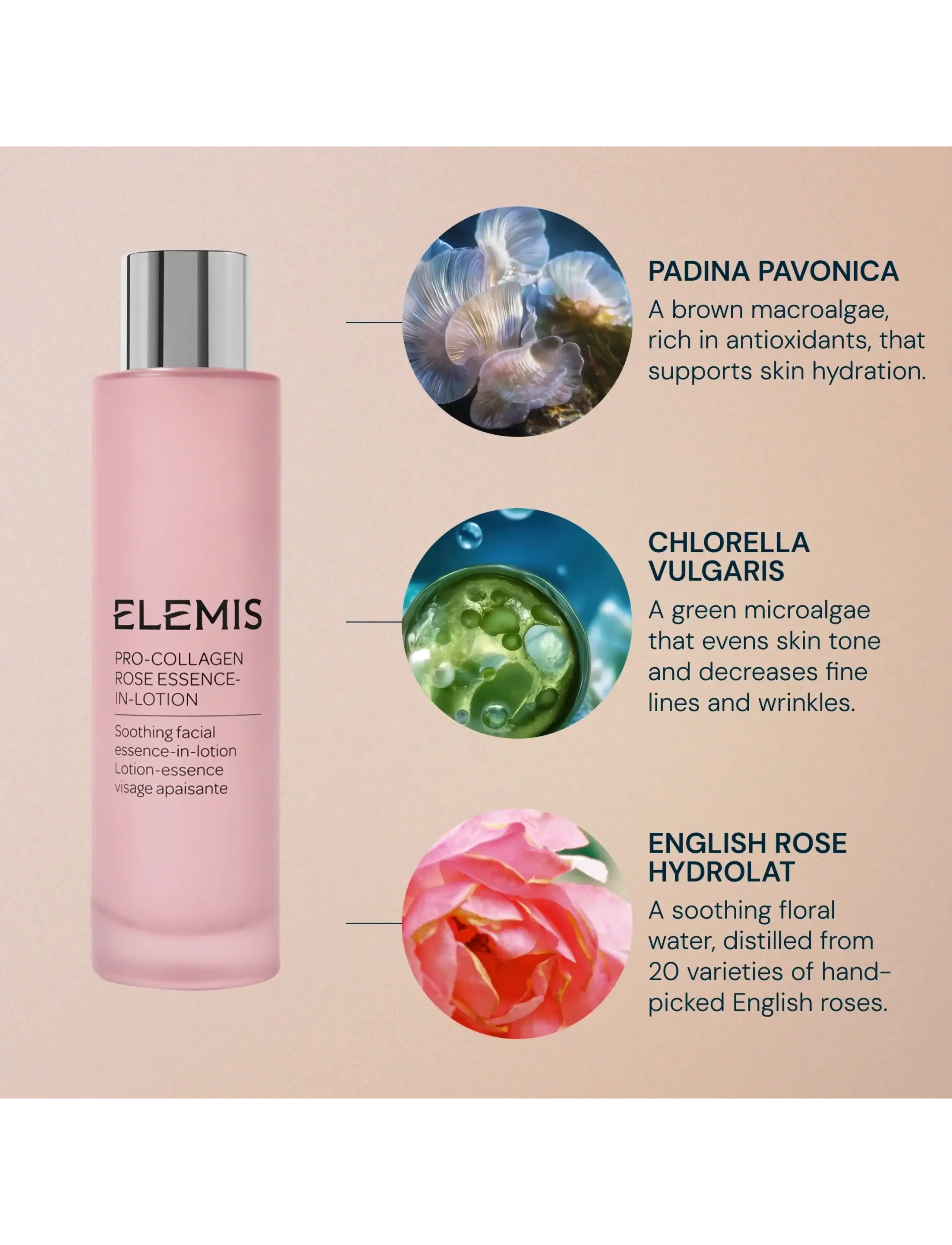 Elemis - Pro-Collagen Rose Essence-In-Lotion 100ml - essence - no color - 4