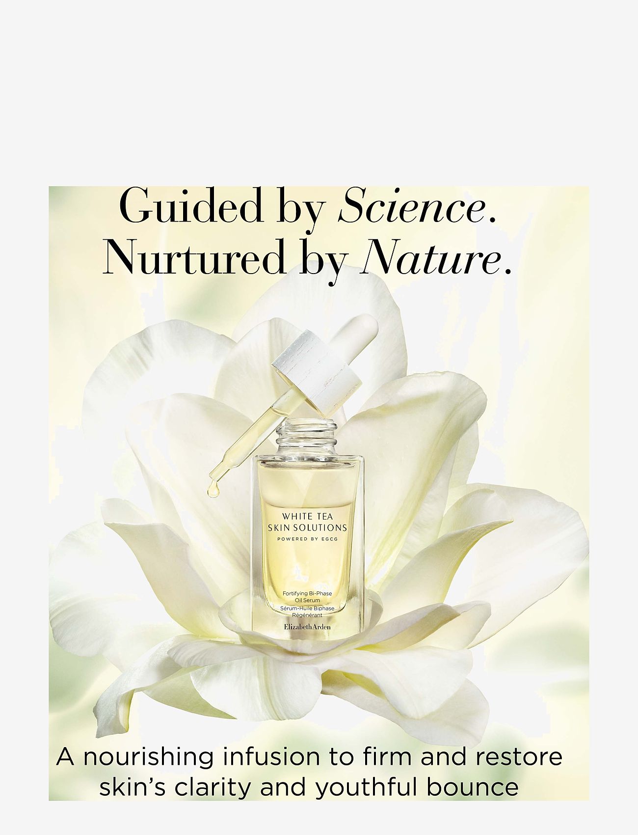 Elizabeth Arden - White tea skin Bi-phase oil serum - serum & oljor  - no colour - 2