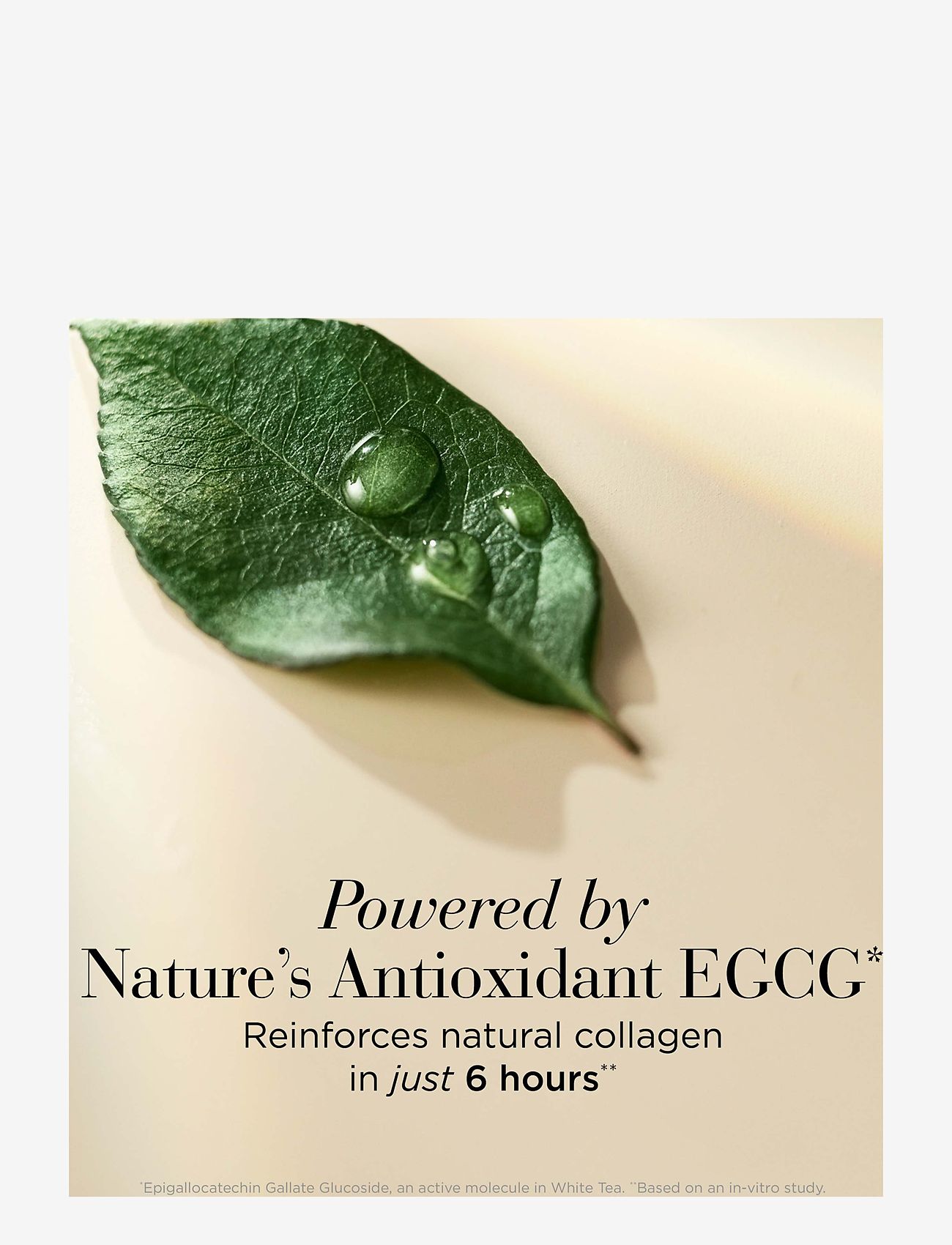 Elizabeth Arden - White tea skin Bi-phase oil serum - serum & oljor  - no colour - 4