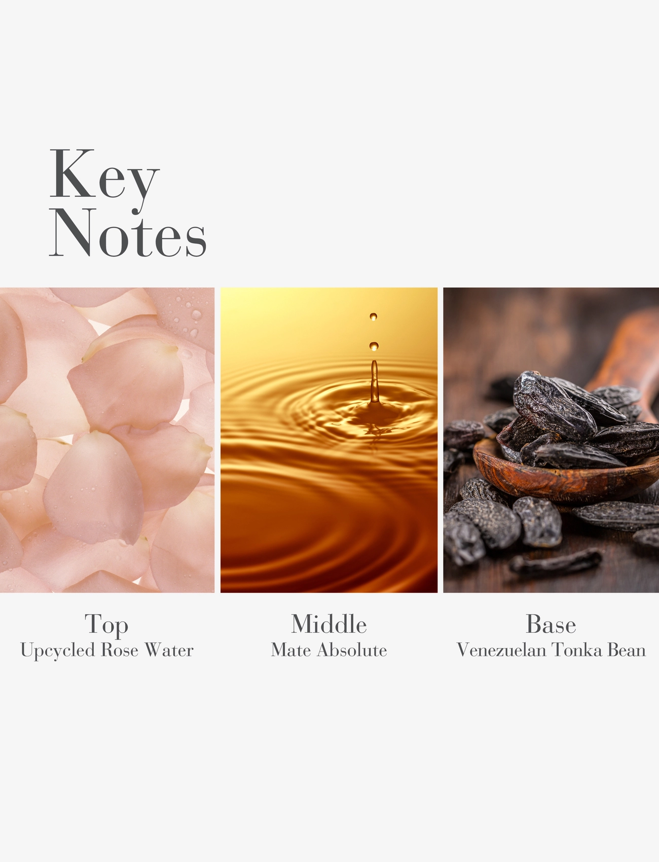 White Tea Eau De Parfum 3
