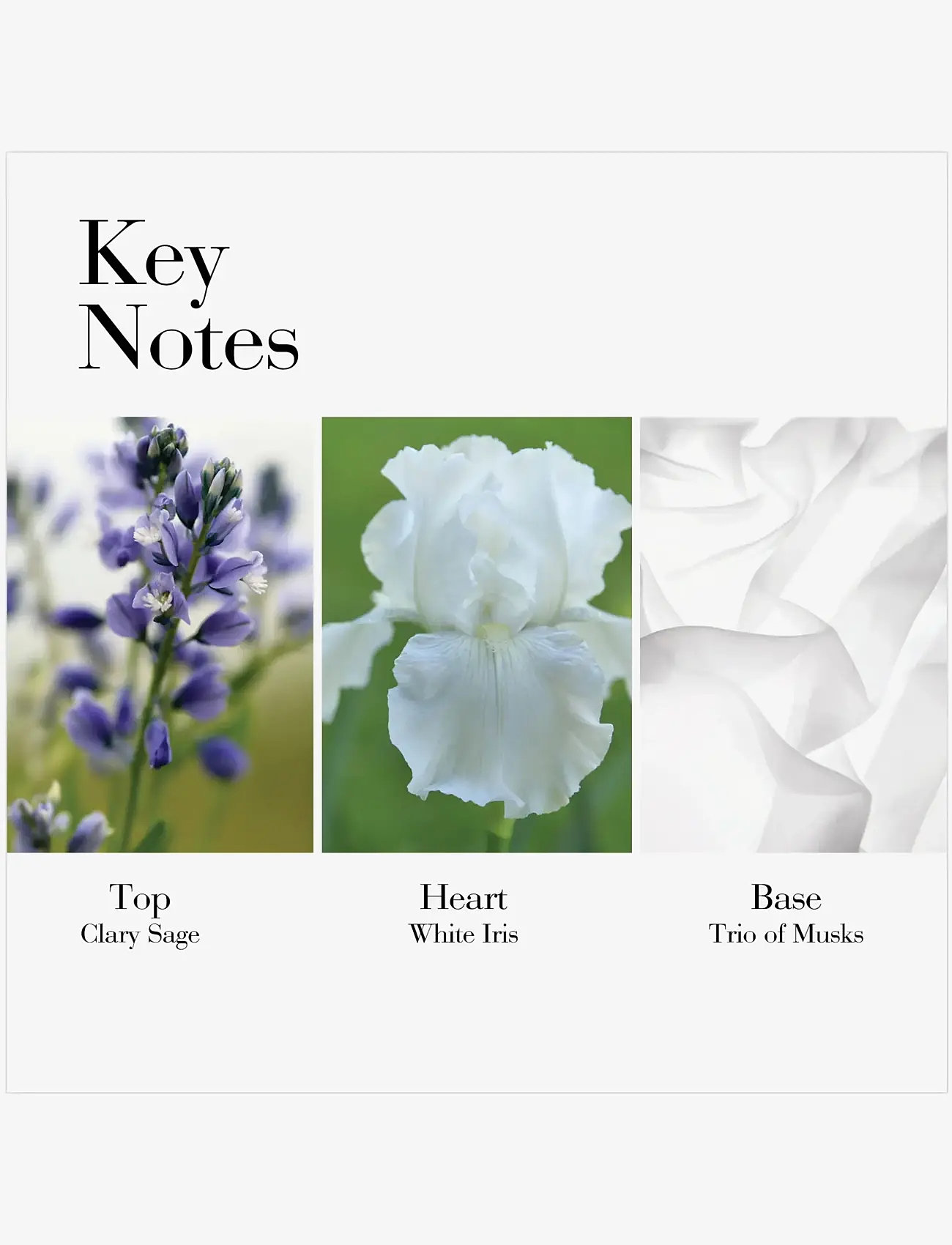 Elizabeth Arden - WHITE TEA EAU DE TOILETTE - till henne  - clear - 3