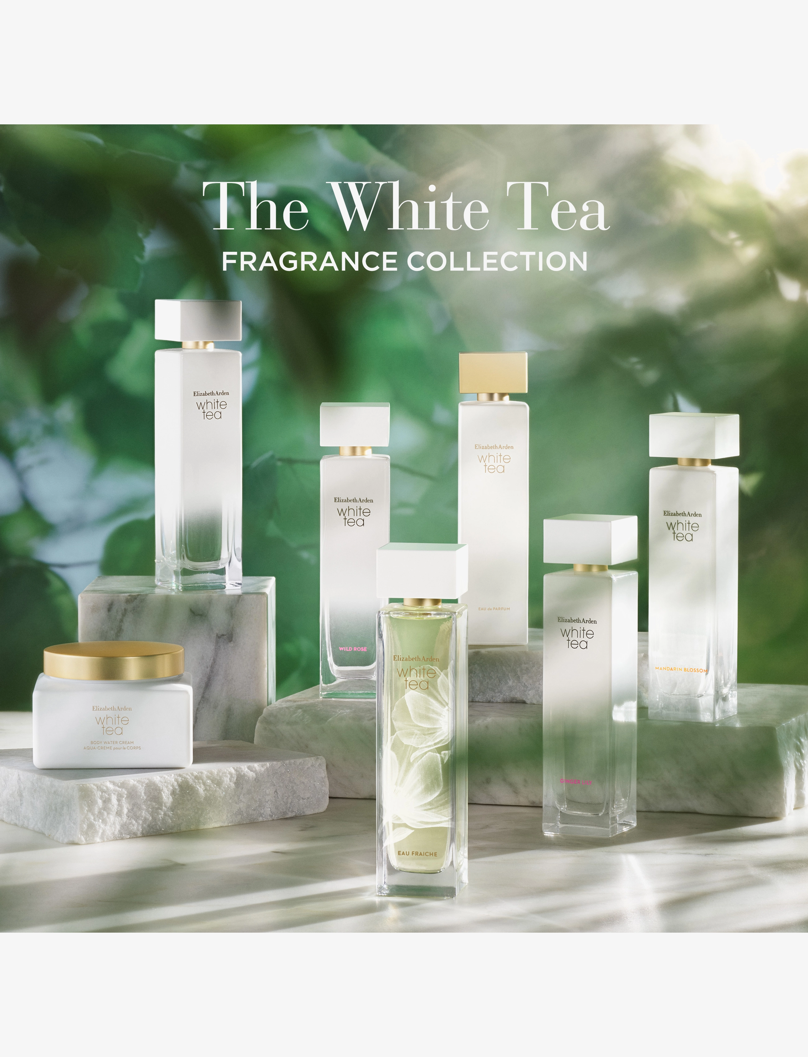 Elizabeth Arden - Elizabeth Arden White Tea Eau Fraiche Eau de toilette 50 ML - parfymer - clear - 4
