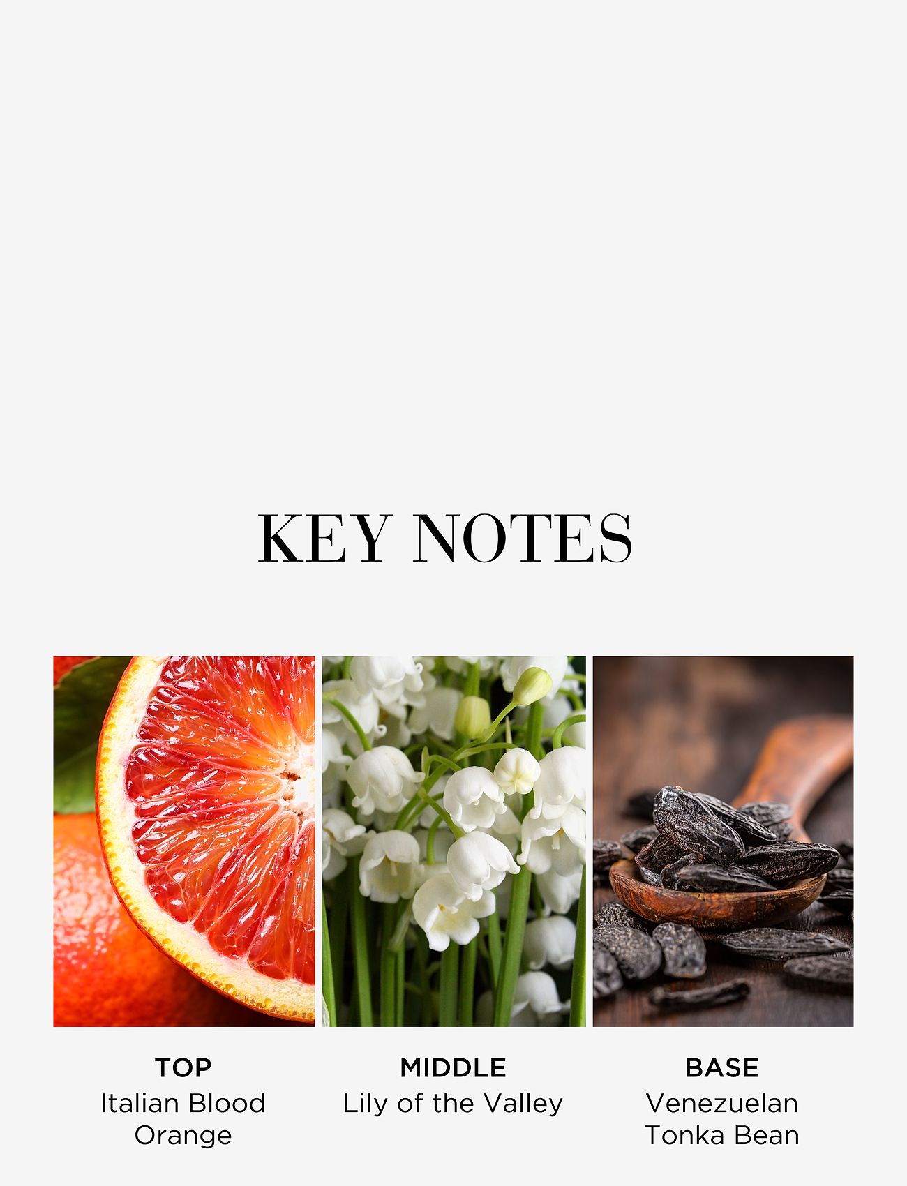 Elizabeth Arden - Elizabeth Arden White Tea Eau Fraiche Eau de toilette 50 ML - rejsestørrelser & kits  - clear - 2