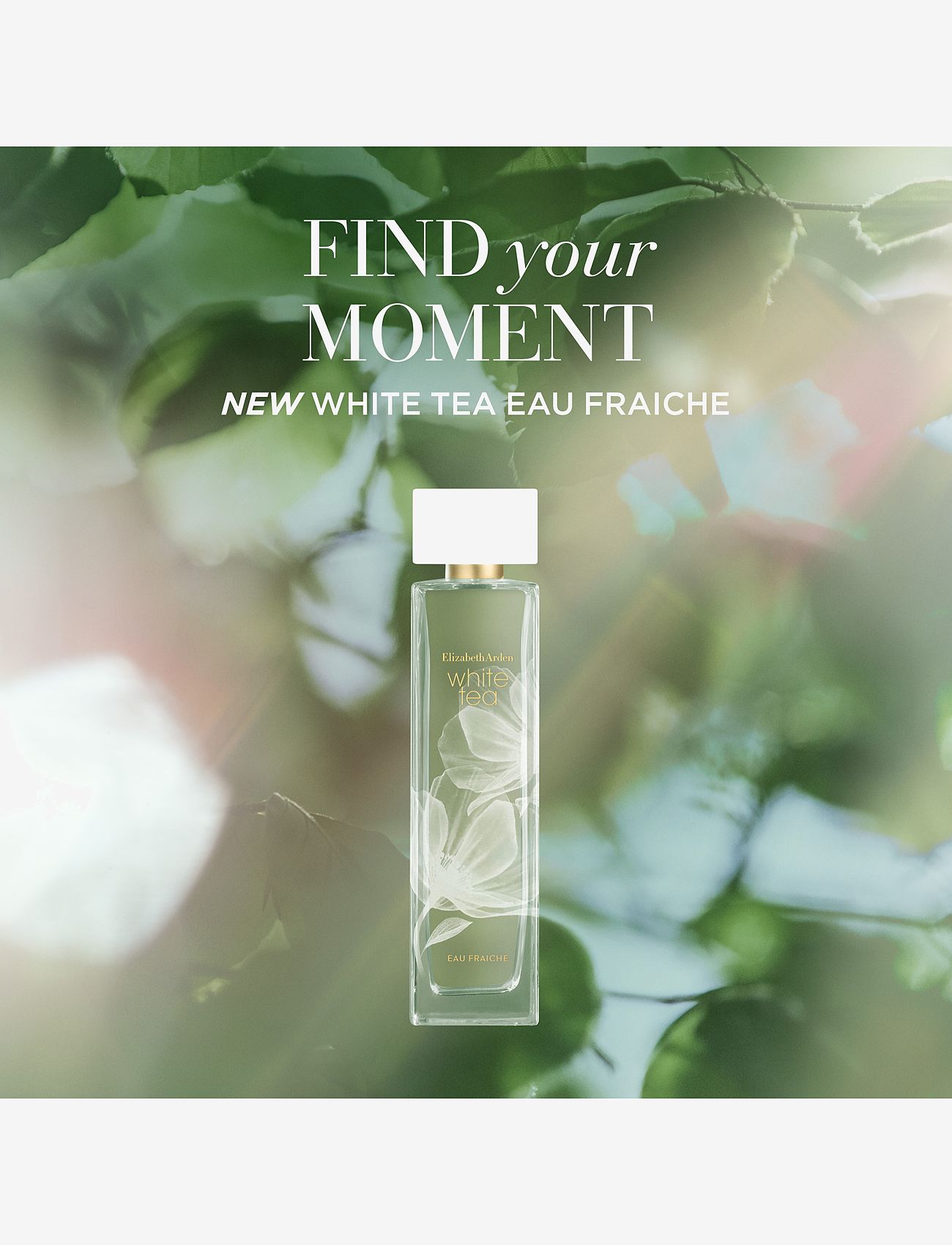 Elizabeth Arden - Elizabeth Arden White Tea Eau Fraiche Eau de toilette 50 ML - rejsestørrelser & kits  - clear - 3