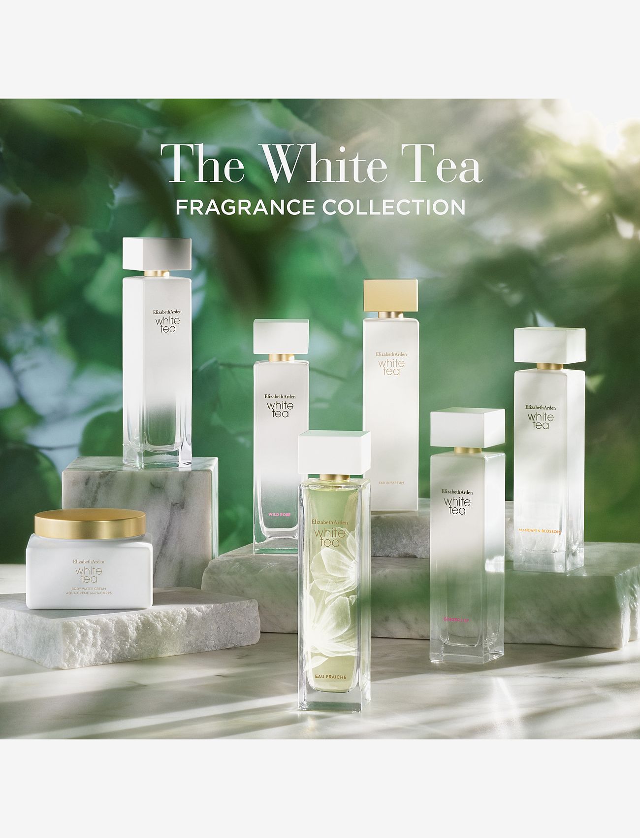 Elizabeth Arden - Elizabeth Arden White Tea Eau Fraiche Eau de toilette 50 ML - rejsestørrelser & kits  - clear - 4