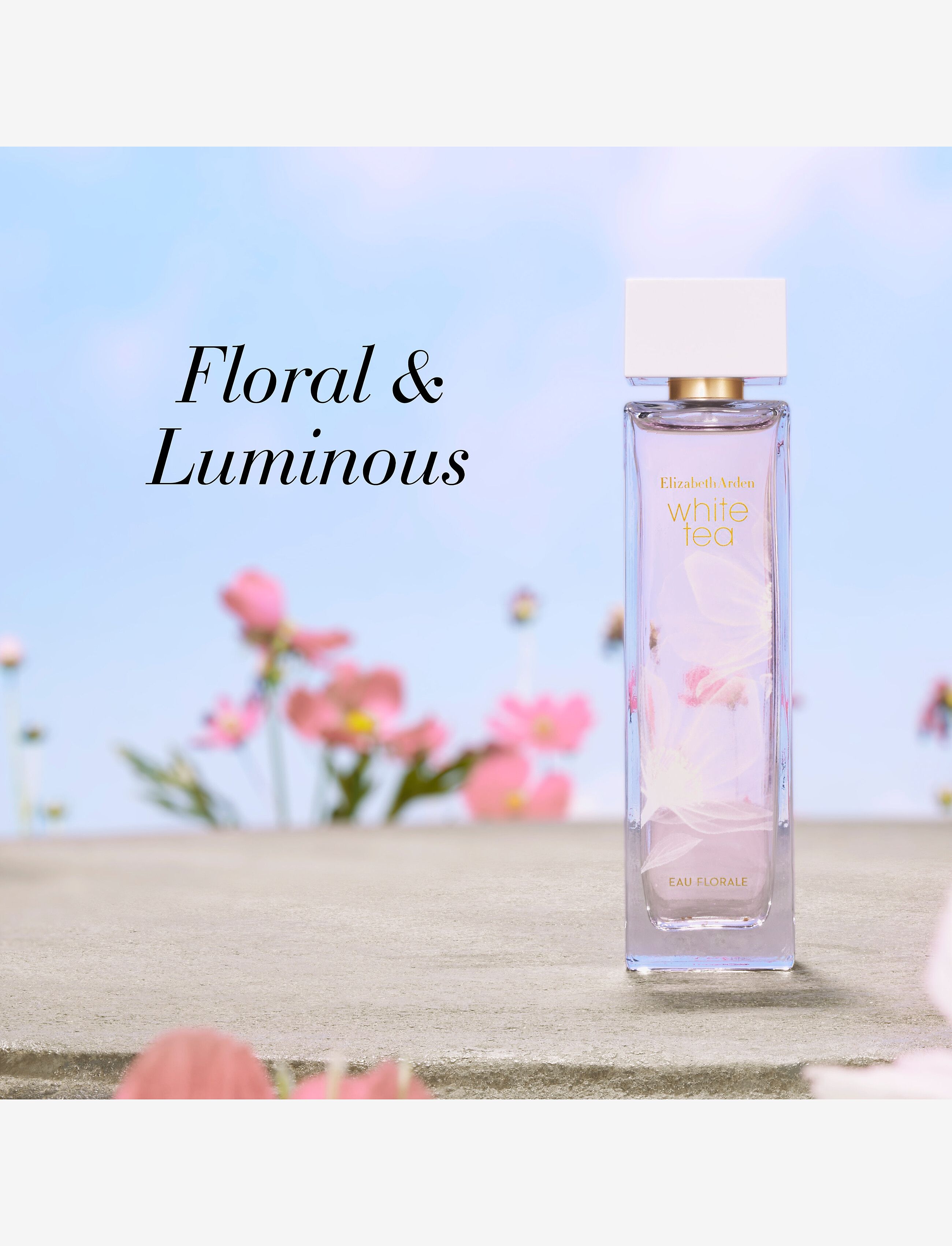 Elizabeth Arden - Elizabeth Arden White Tea Eau Florale Eau de toilette 100 ML - till henne  - clear - 3