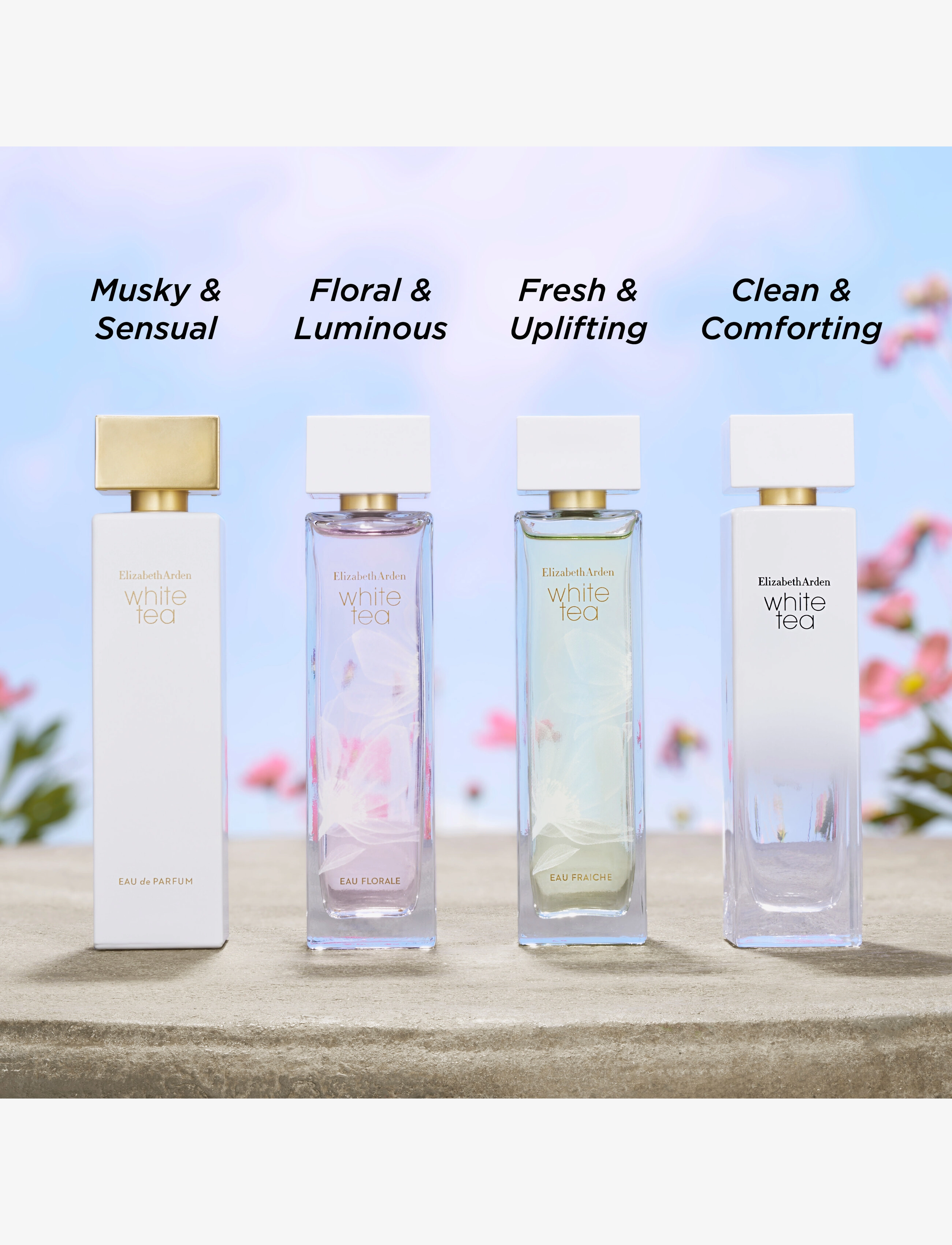 Elizabeth Arden - Elizabeth Arden White Tea Eau Florale Eau de toilette 100 ML - till henne  - clear - 4