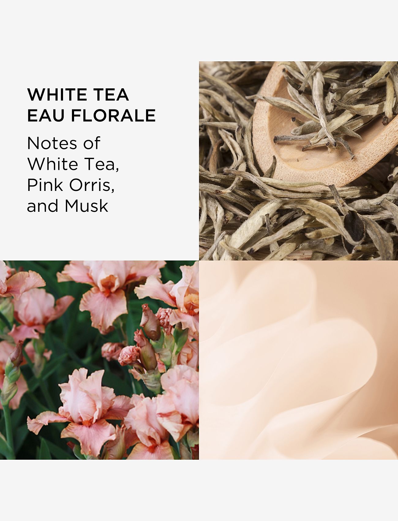 Elizabeth Arden - Elizabeth Arden White Tea Eau Florale Eau de toilette 50 ML - til hende  - clear - 2