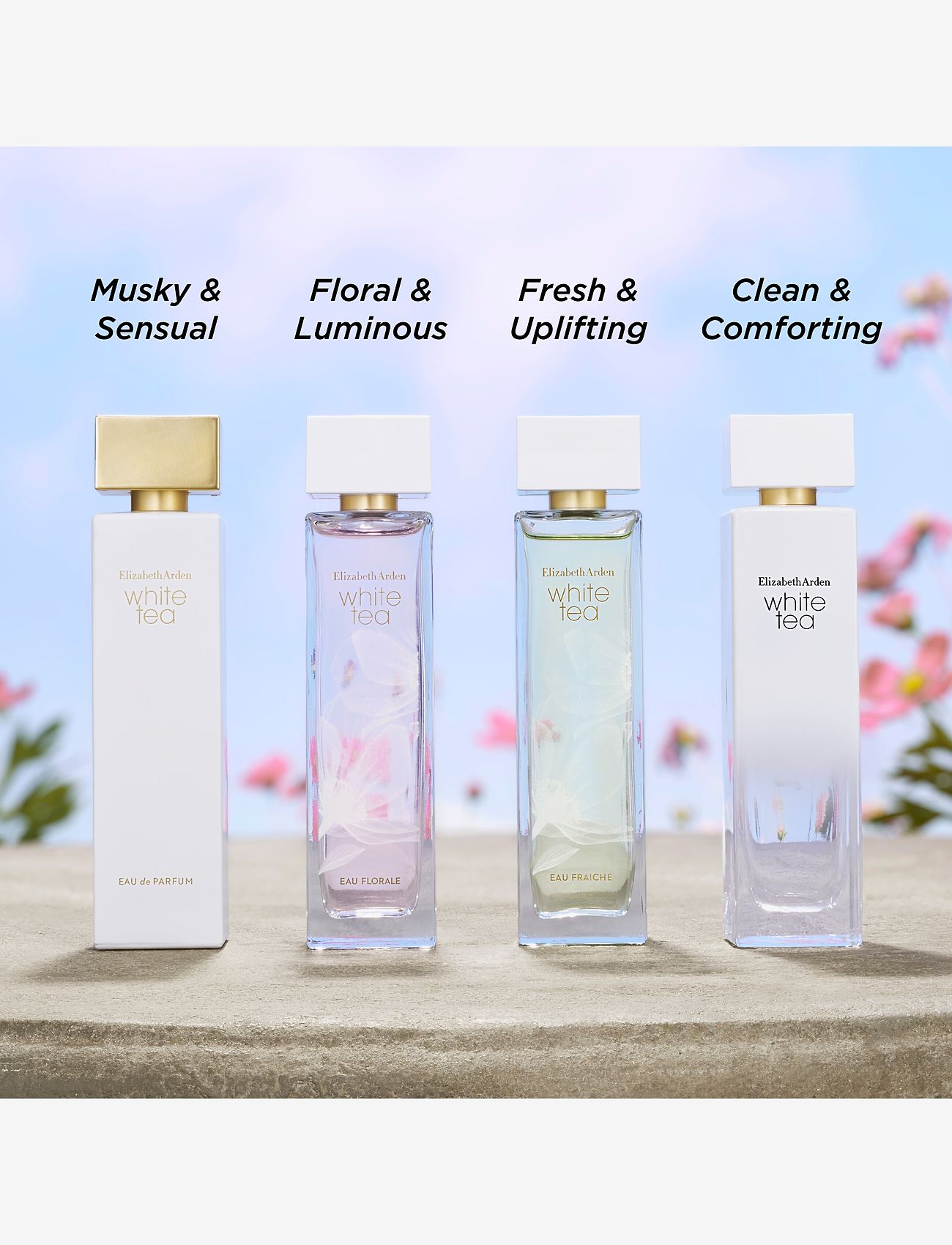 Elizabeth Arden - Elizabeth Arden White Tea Eau Florale Eau de toilette 50 ML - til hende  - clear - 4