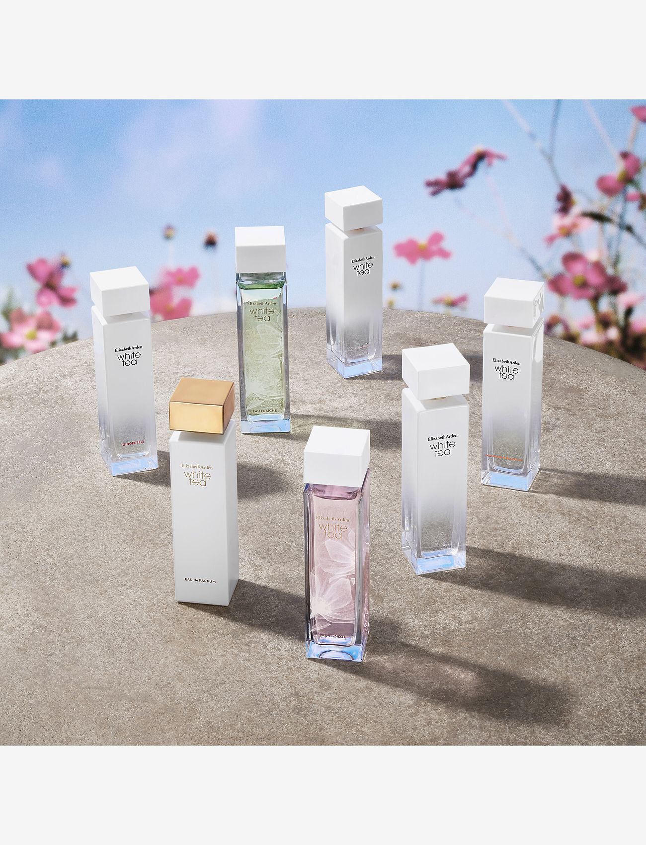 Elizabeth Arden - Elizabeth Arden White Tea Eau Florale Eau de toilette 50 ML - til hende  - clear - 5