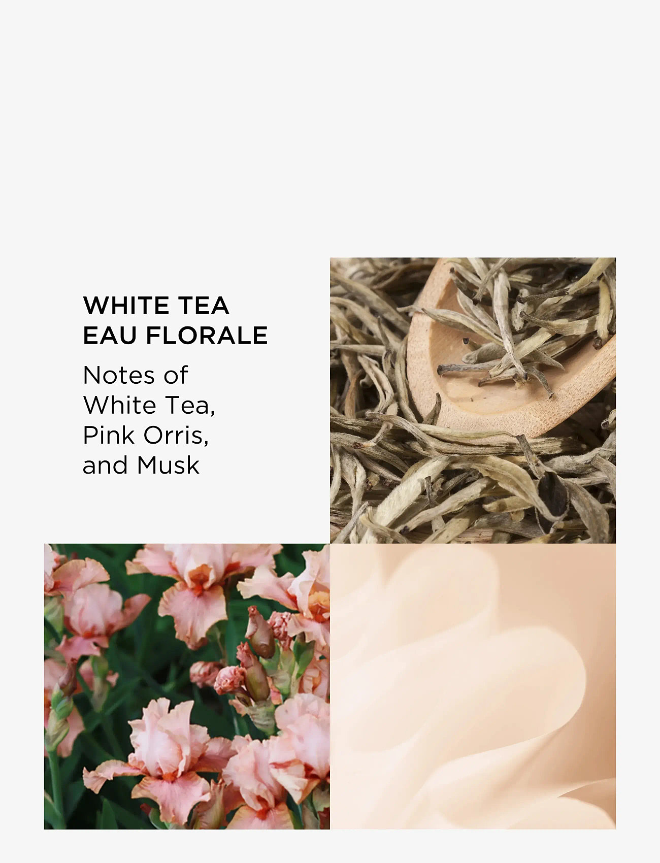 Elizabeth Arden - White Tea Eau Florale Eau de toilette 30 ml - redo för date night - clear - 2