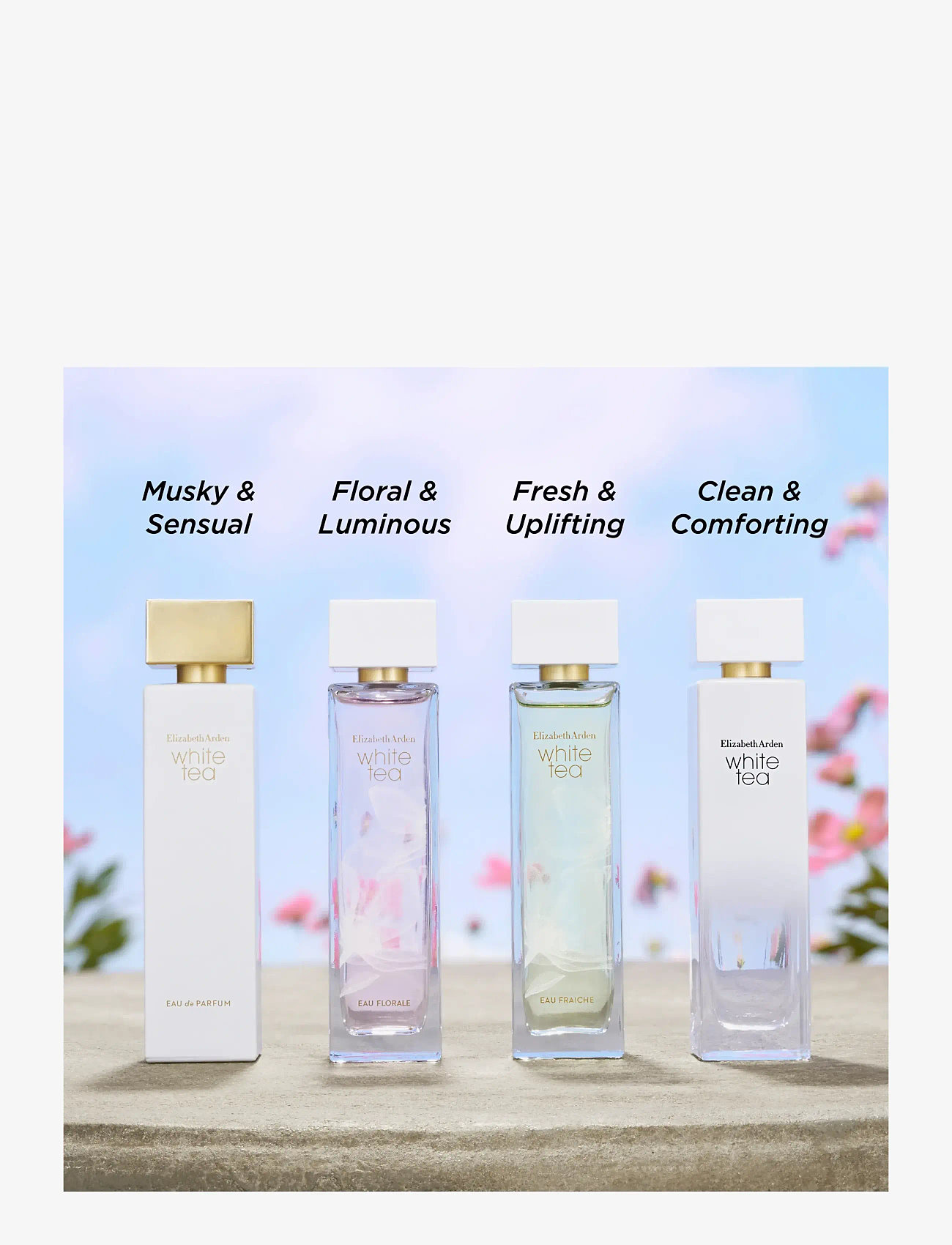 Elizabeth Arden - White Tea Eau Florale Eau de toilette 30 ml - redo för date night - clear - 4