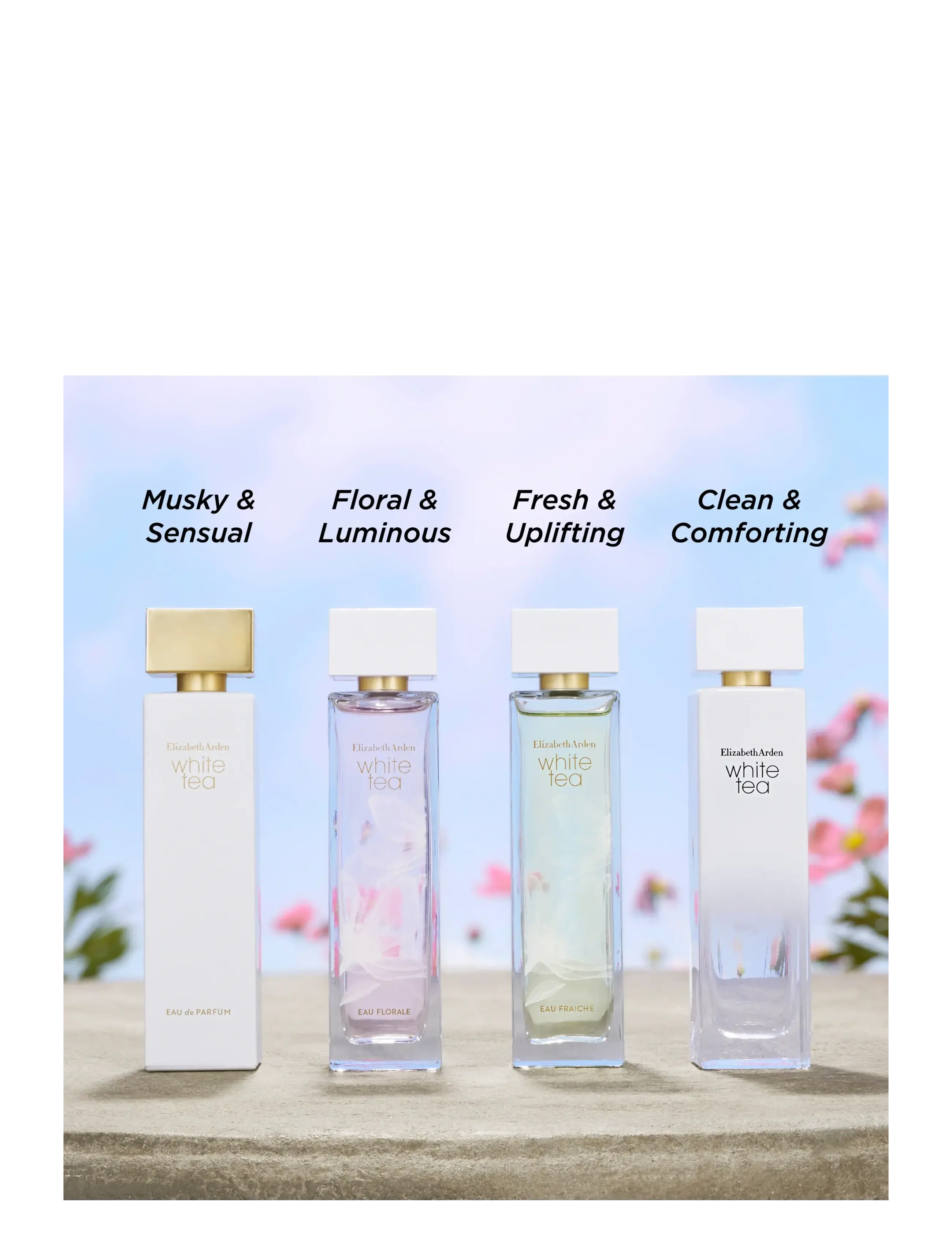 Elizabeth Arden - White Tea Eau Florale Eau de toilette 30 ml - bliv klar til date night - clear - 4