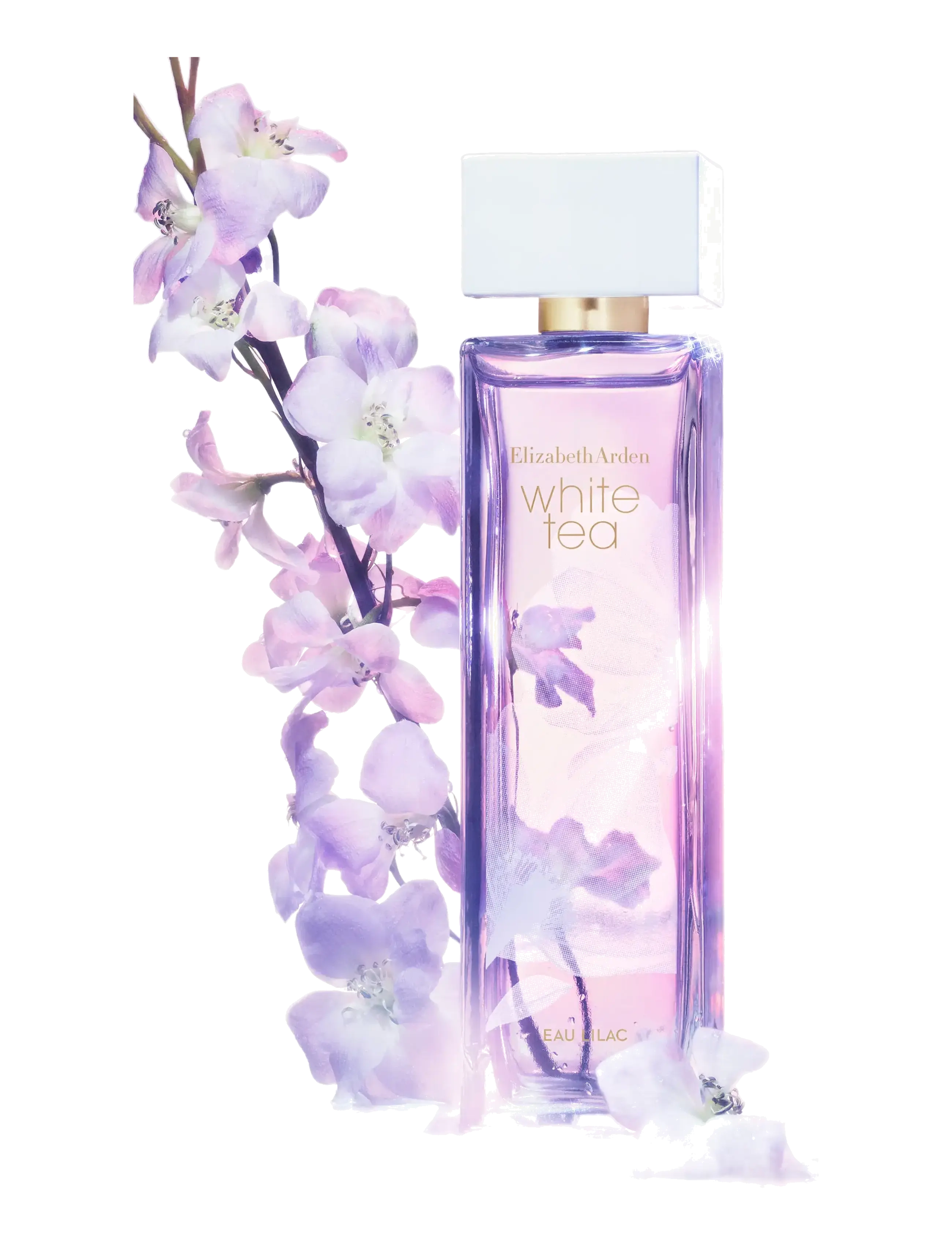 Elizabeth Arden - White tea lilac eau de toilette 50.00 ML - til hende  - clear - 4