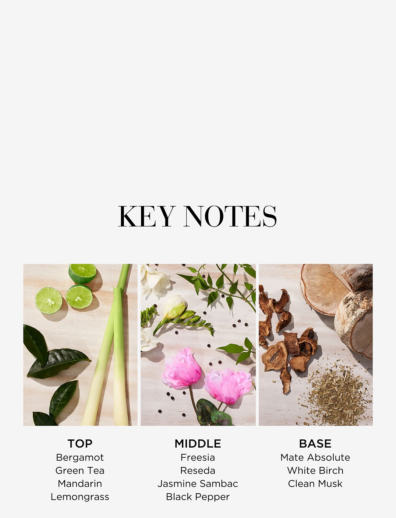 Elizabeth Arden - Elizabeth Arden Green Tea Citron Freesia Body cream 500 ML - lotion & cream - no color - 2