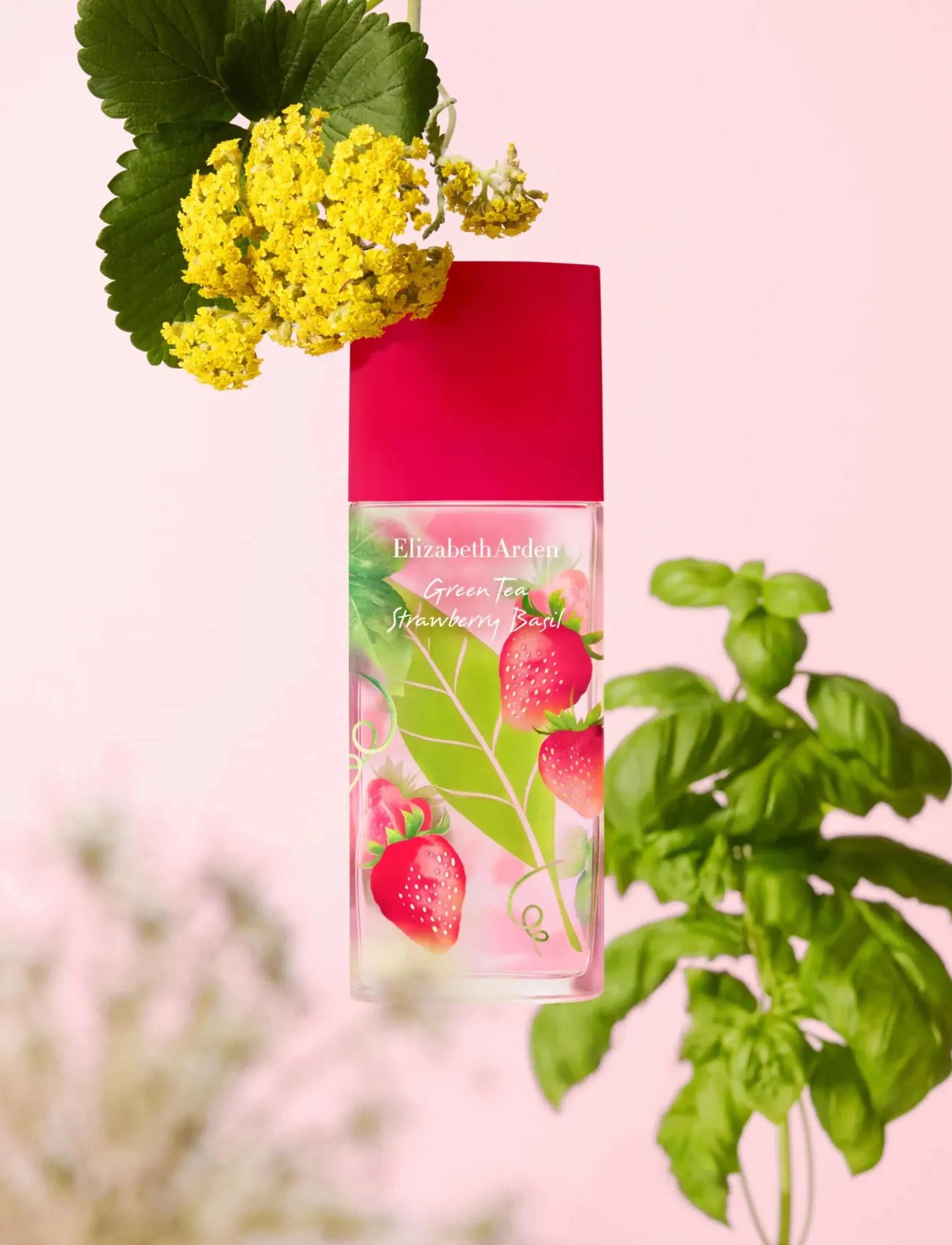 Elizabeth Arden - Green Tea Strawberry Basil Eau de toilette 100 ml - parfymer - clear - 5